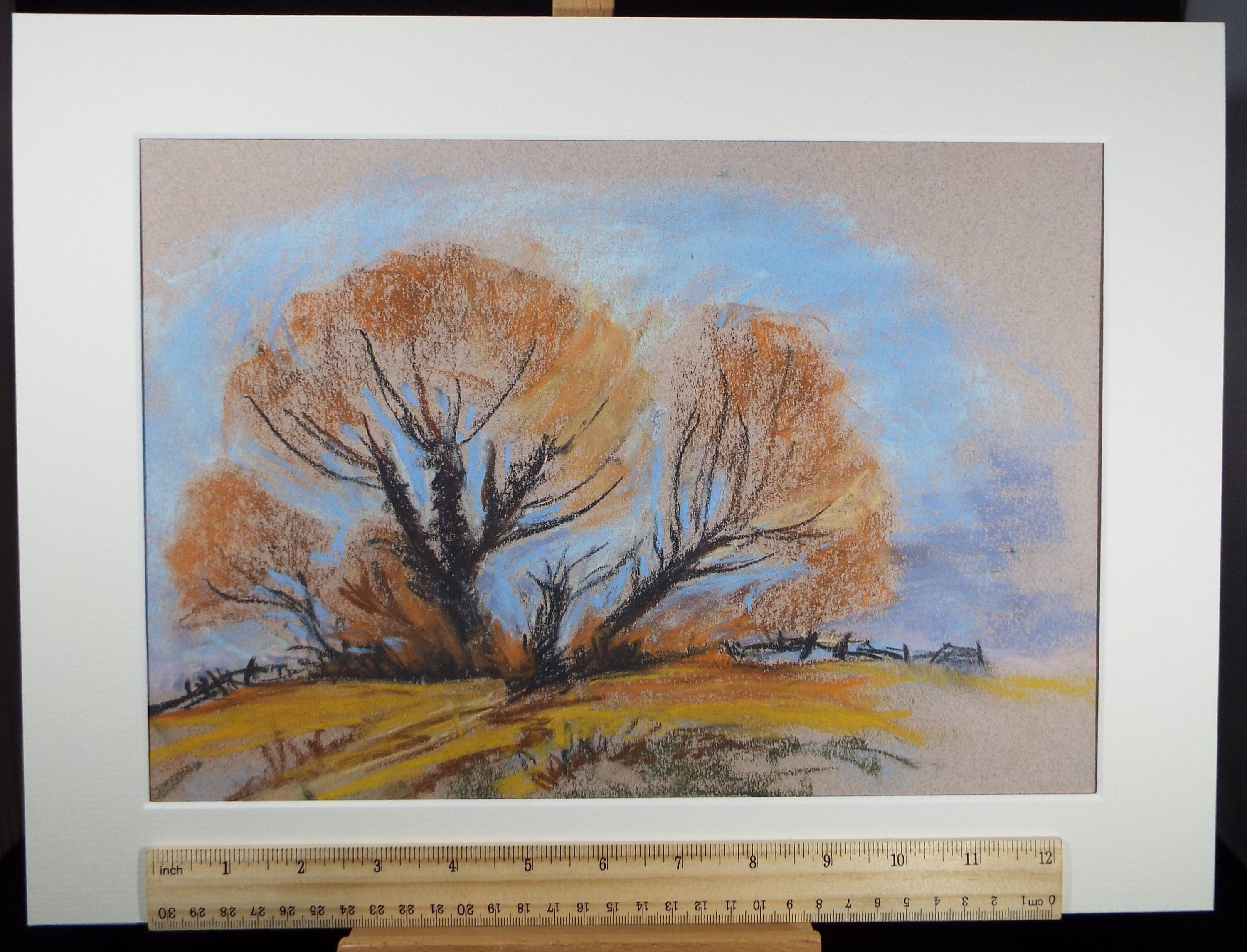 Original Conte Drawing, 'Autumn tree study', Circa 1990's Artist Unknown