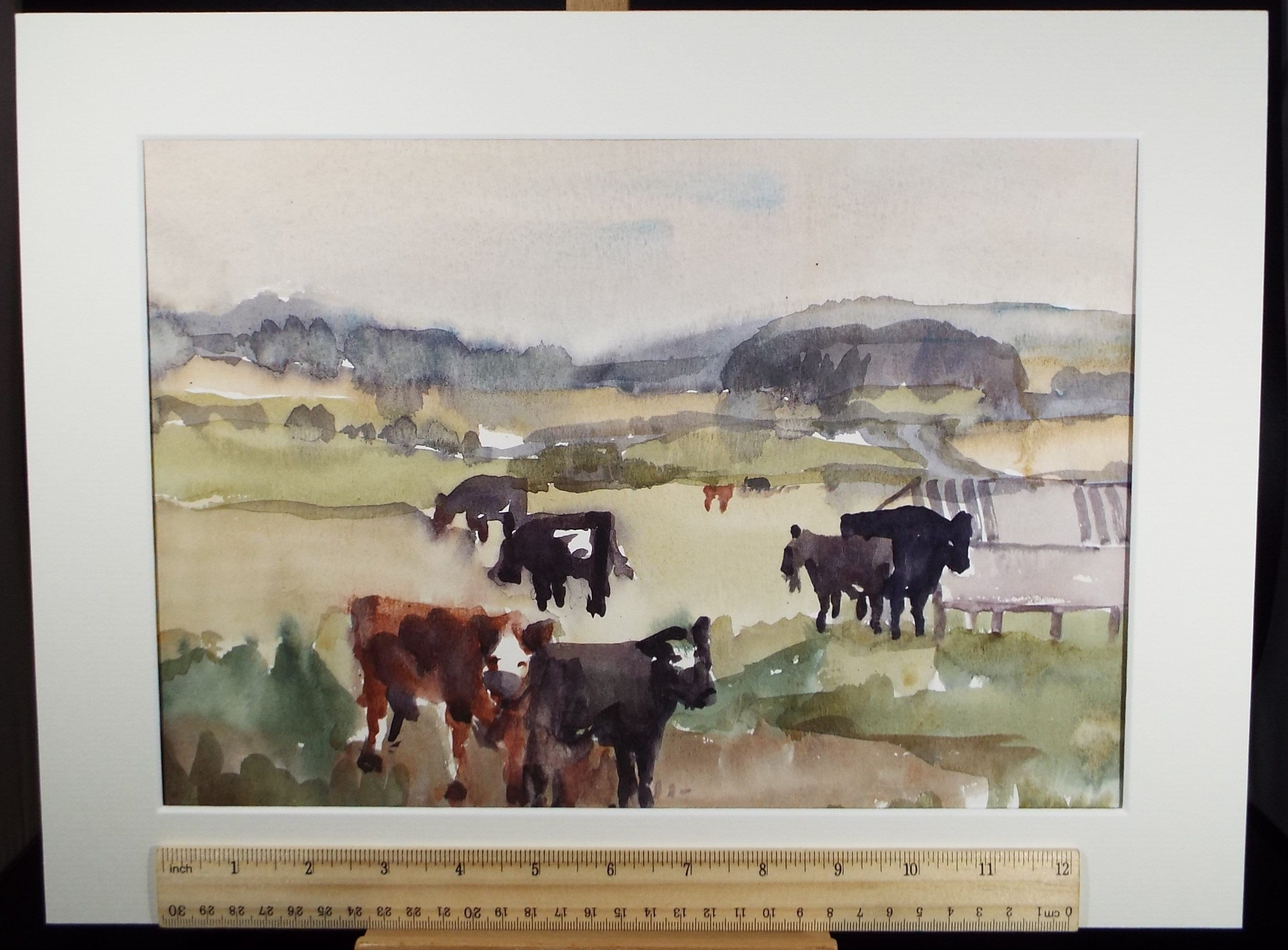 Original Watercolour, 'Friesian Cattle Grazing' , Muriel Hayden Inwood, circa 1970's