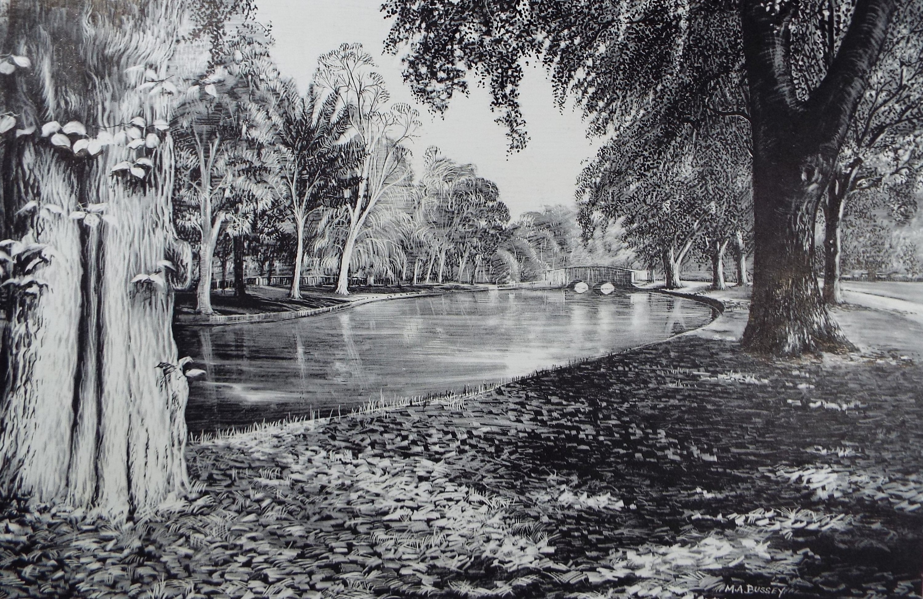 Original Etching on Scraperboard 'Parkland with Lake', Michael A. Bussey, circa 1960's