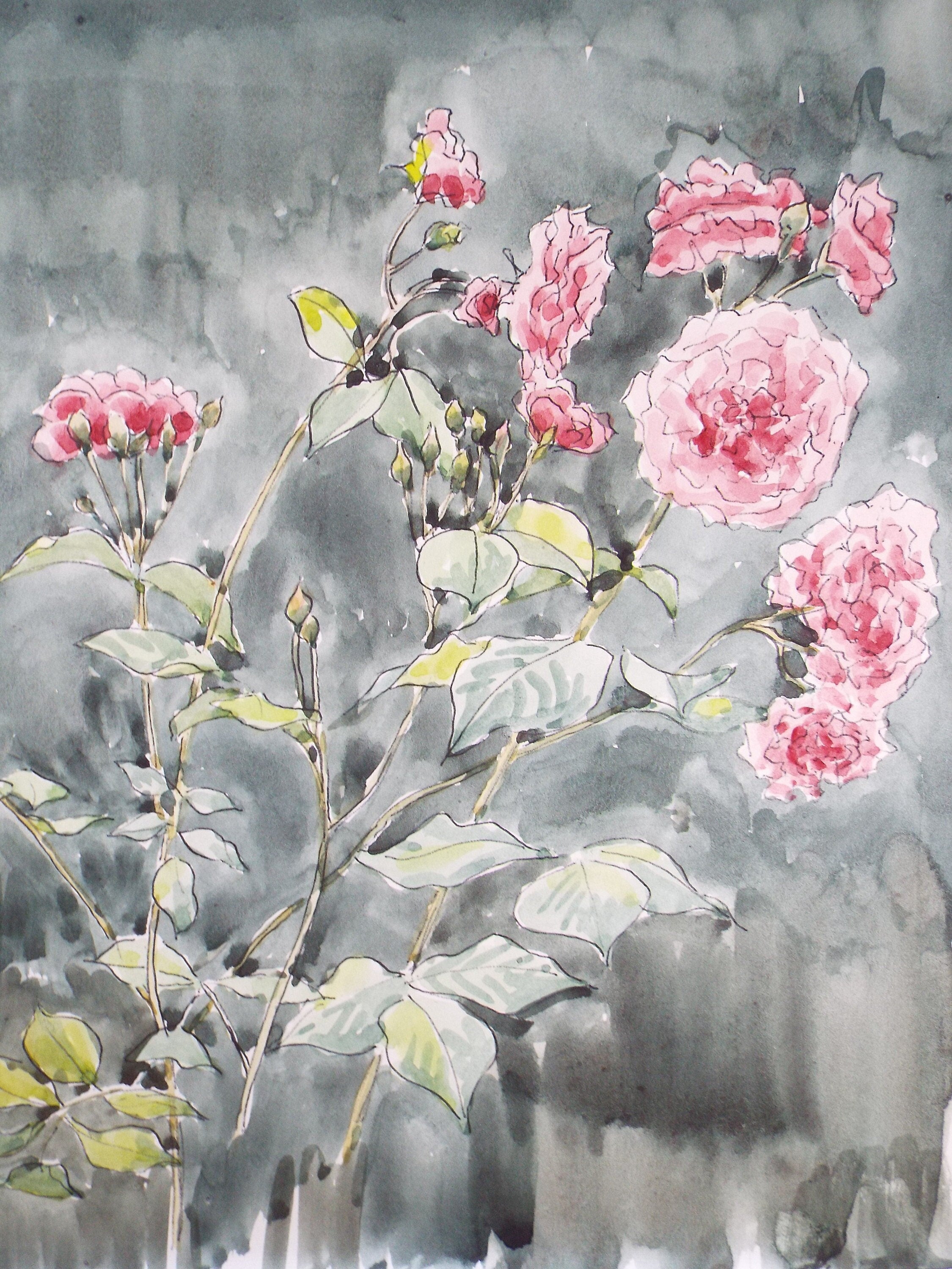 Original Watercolour, 'A Study of Roses', George Godfrey, circa 1960's