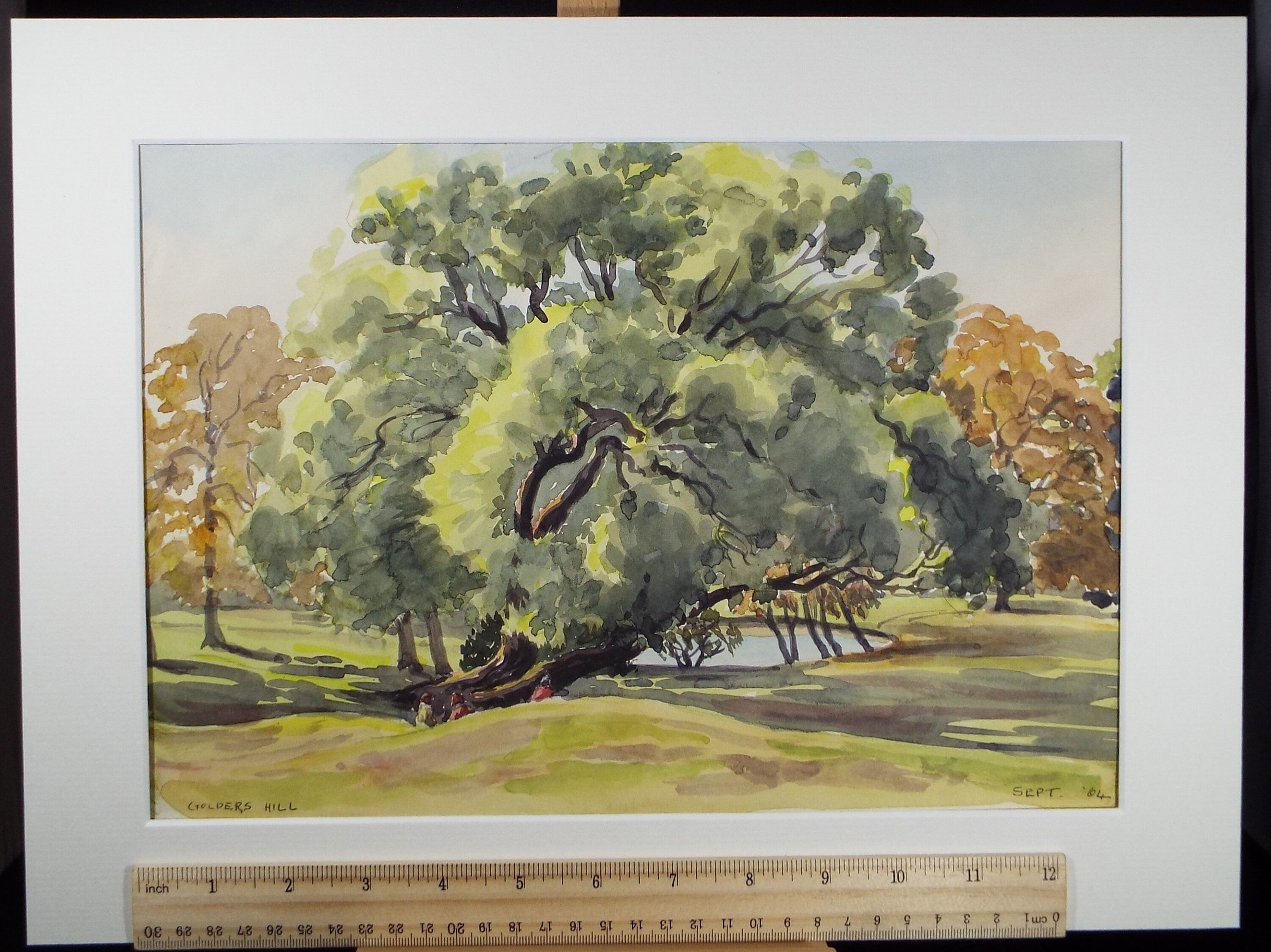 Original Watercolour, 'Golders Hill', George Godfrey (20th Century, Scottish), Dated 1964