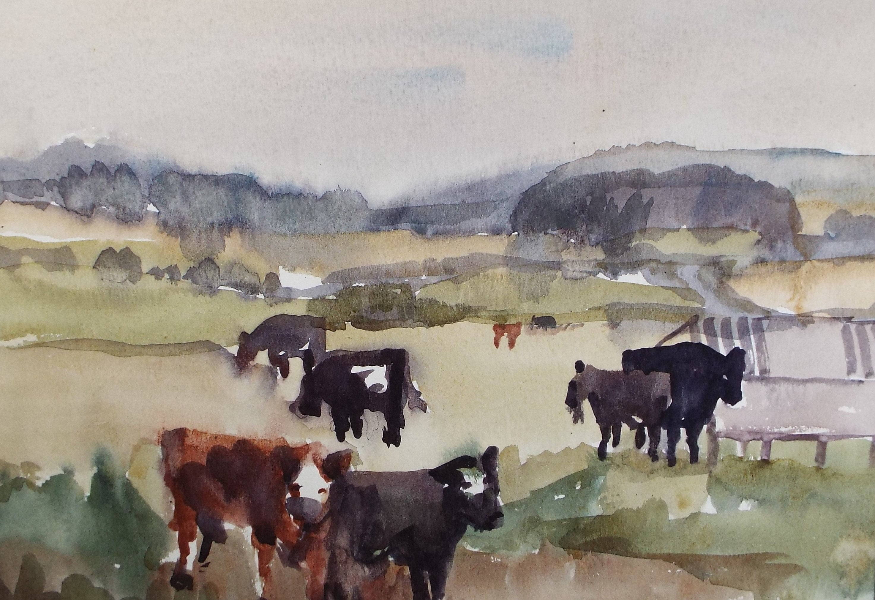 Original Watercolour, 'Friesian Cattle Grazing' , Muriel Hayden Inwood, circa 1970's