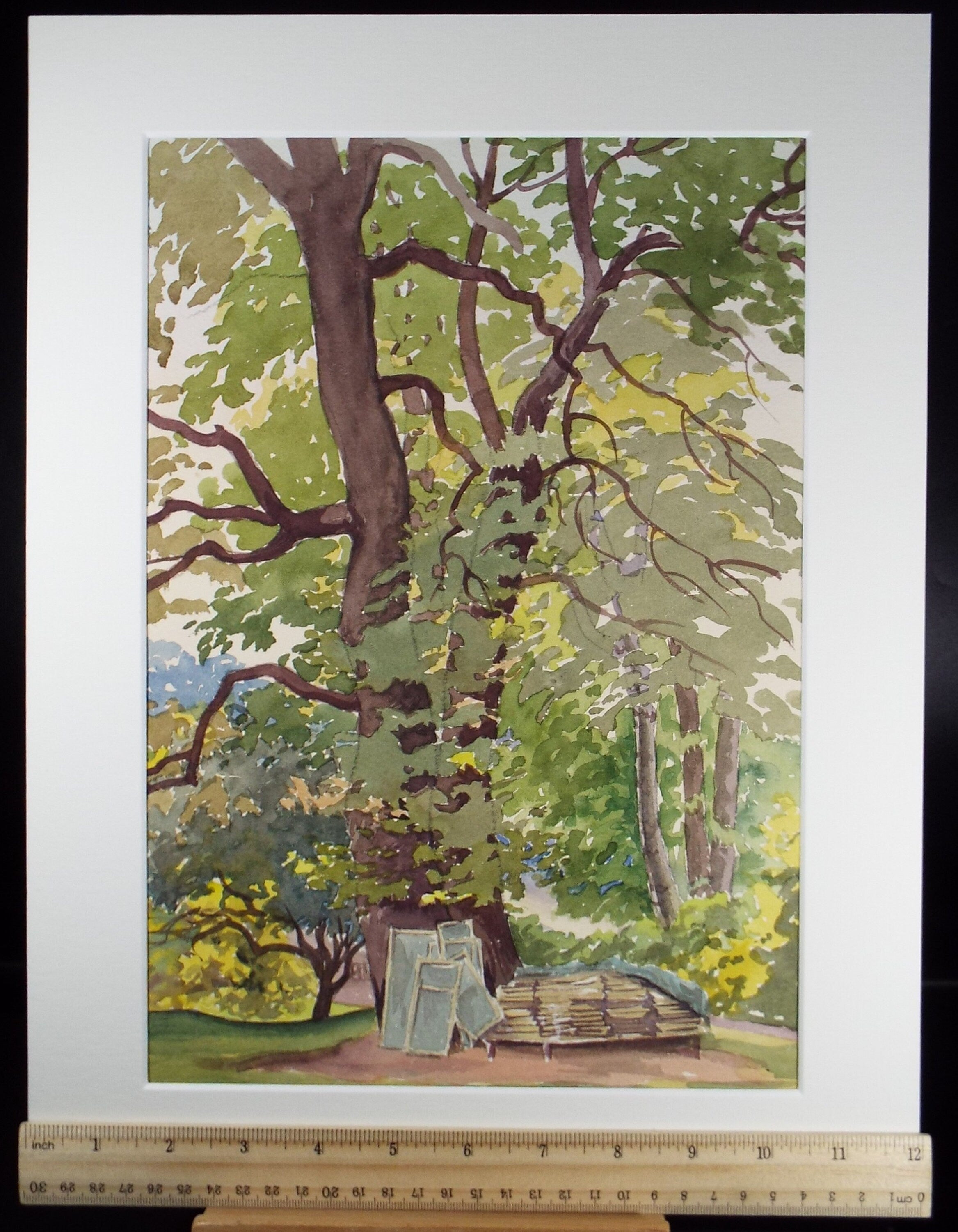 Original Watercolour, 'Deck Chairs in St James's Park', George Godfrey, circa 1960's