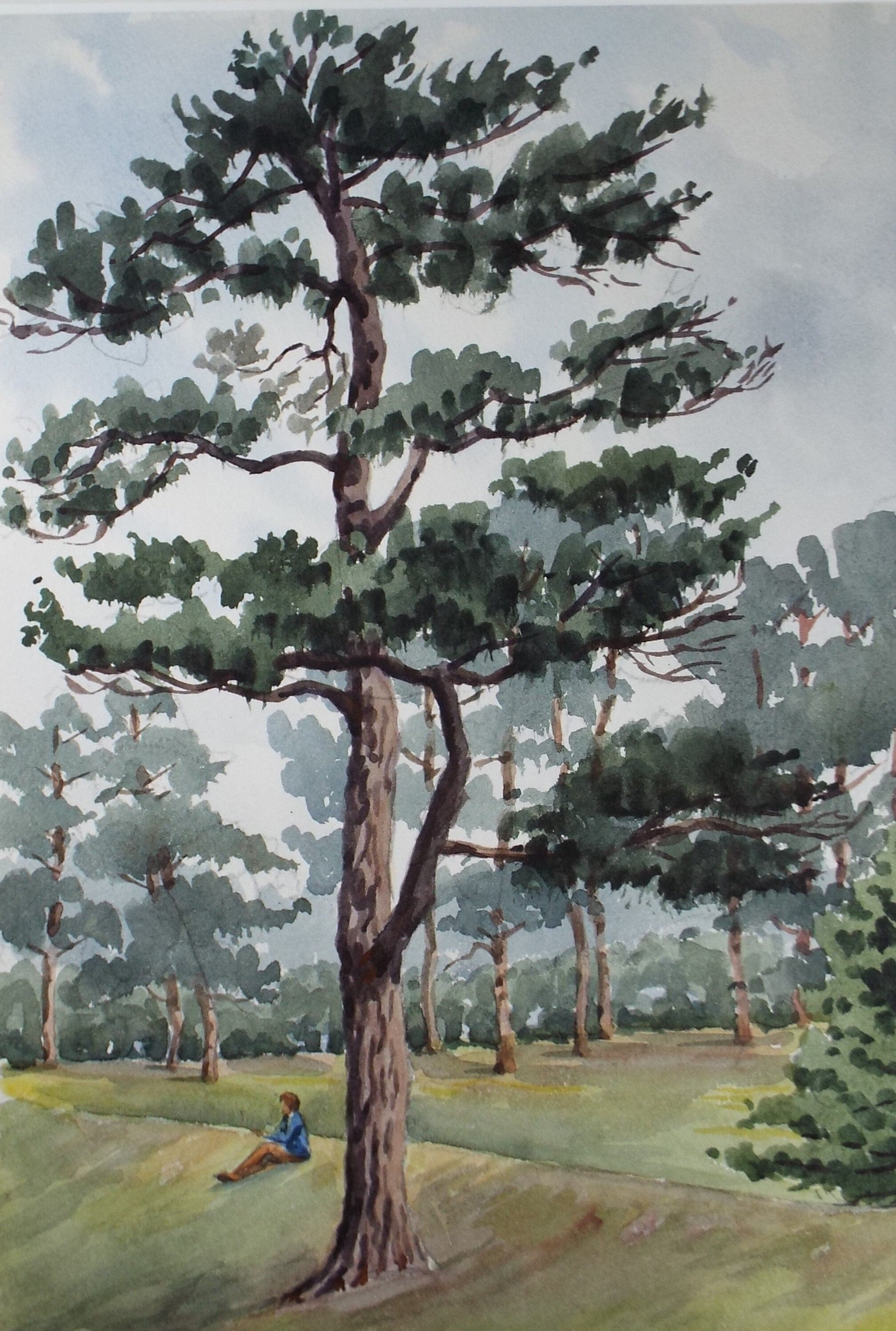 Original Watercolour, 'Figure in the Prine Trees', George Godfrey, circa 1960's