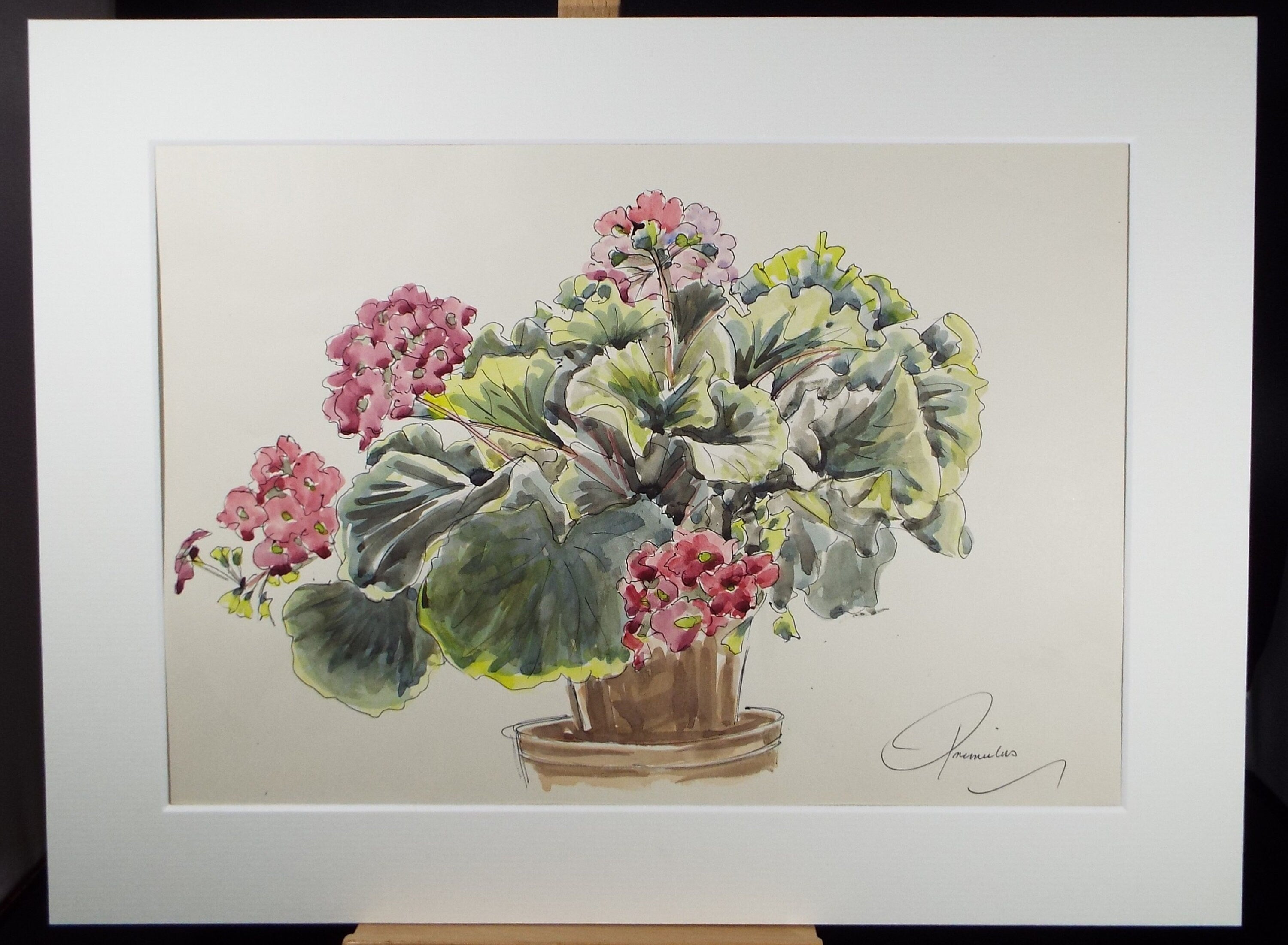 Original Watercolour, 'A Study of Primula', George Godfrey , Circa 1960's