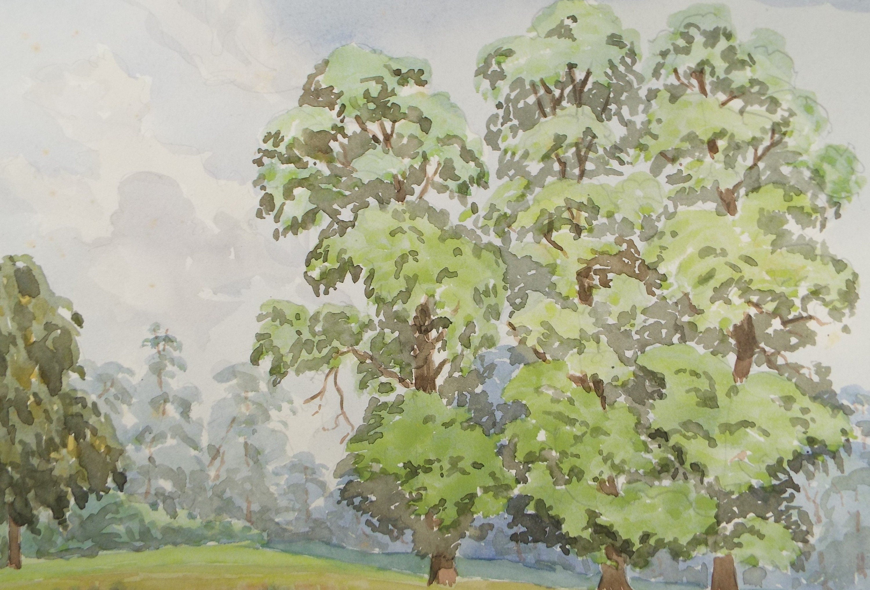 Original Watercolour, 'Tree Study', George Godfrey, circa 1960's