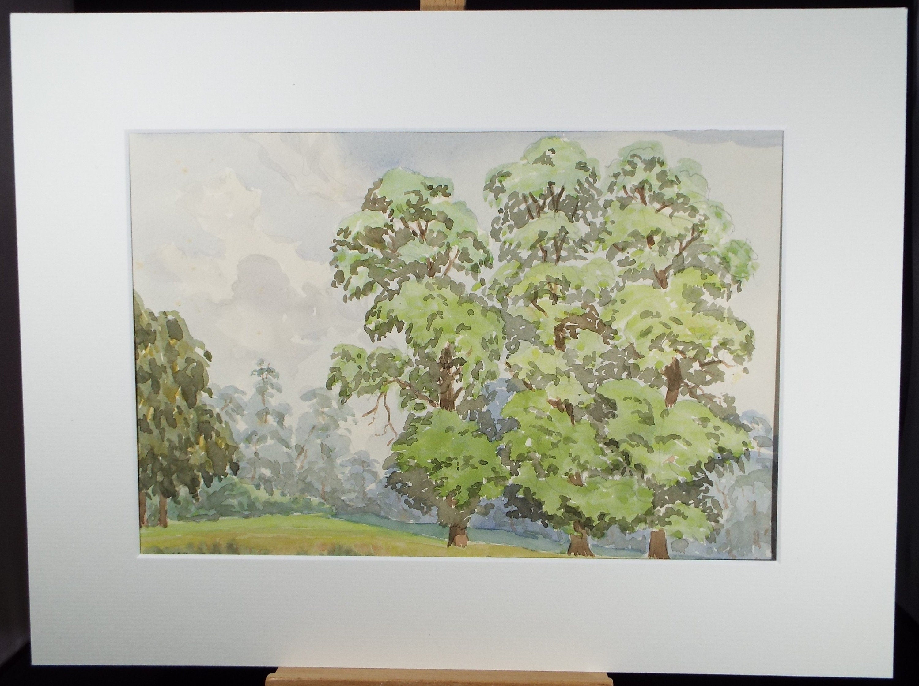 Original Watercolour, 'Tree Study', George Godfrey, circa 1960's