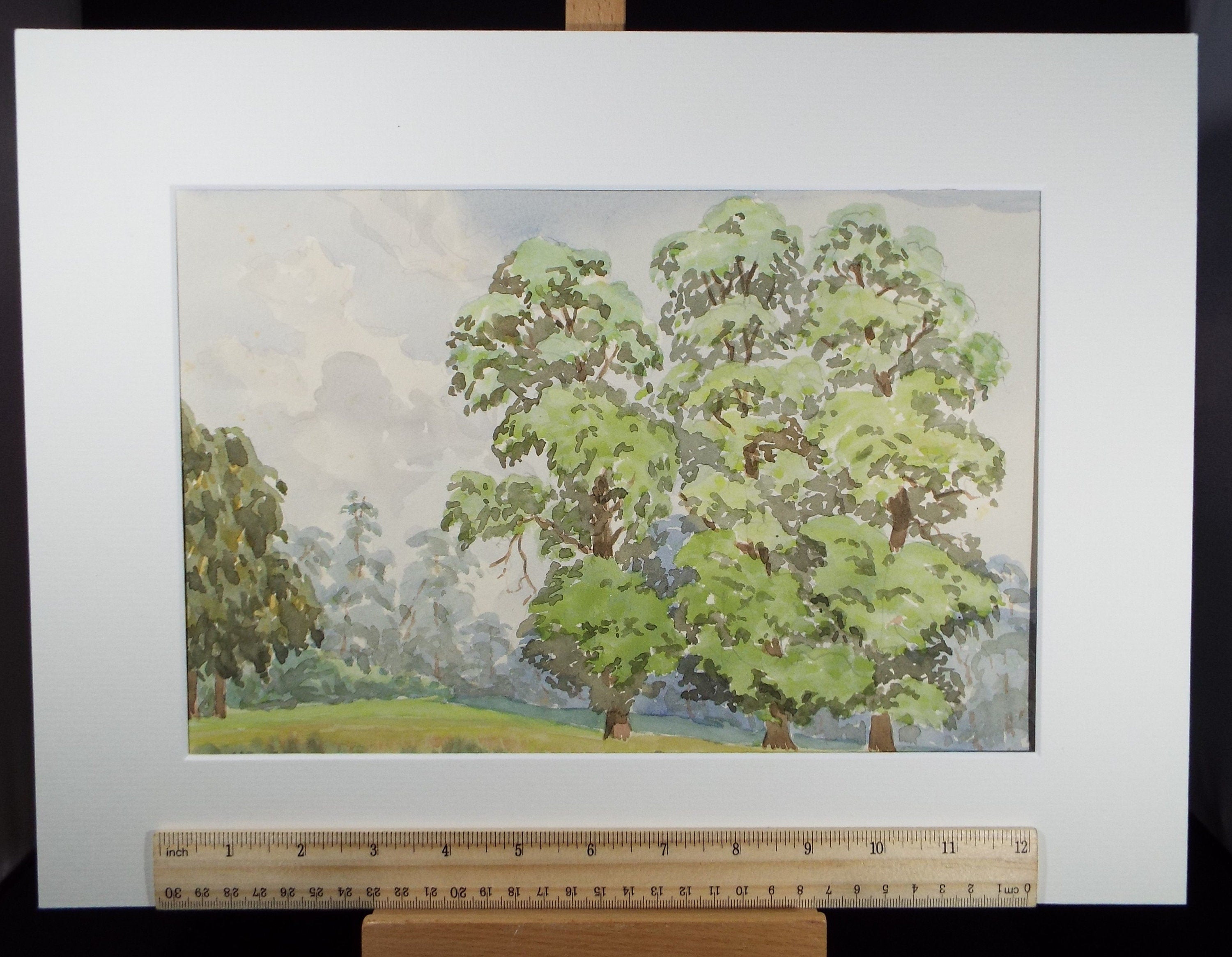 Original Watercolour, 'Tree Study', George Godfrey, circa 1960's