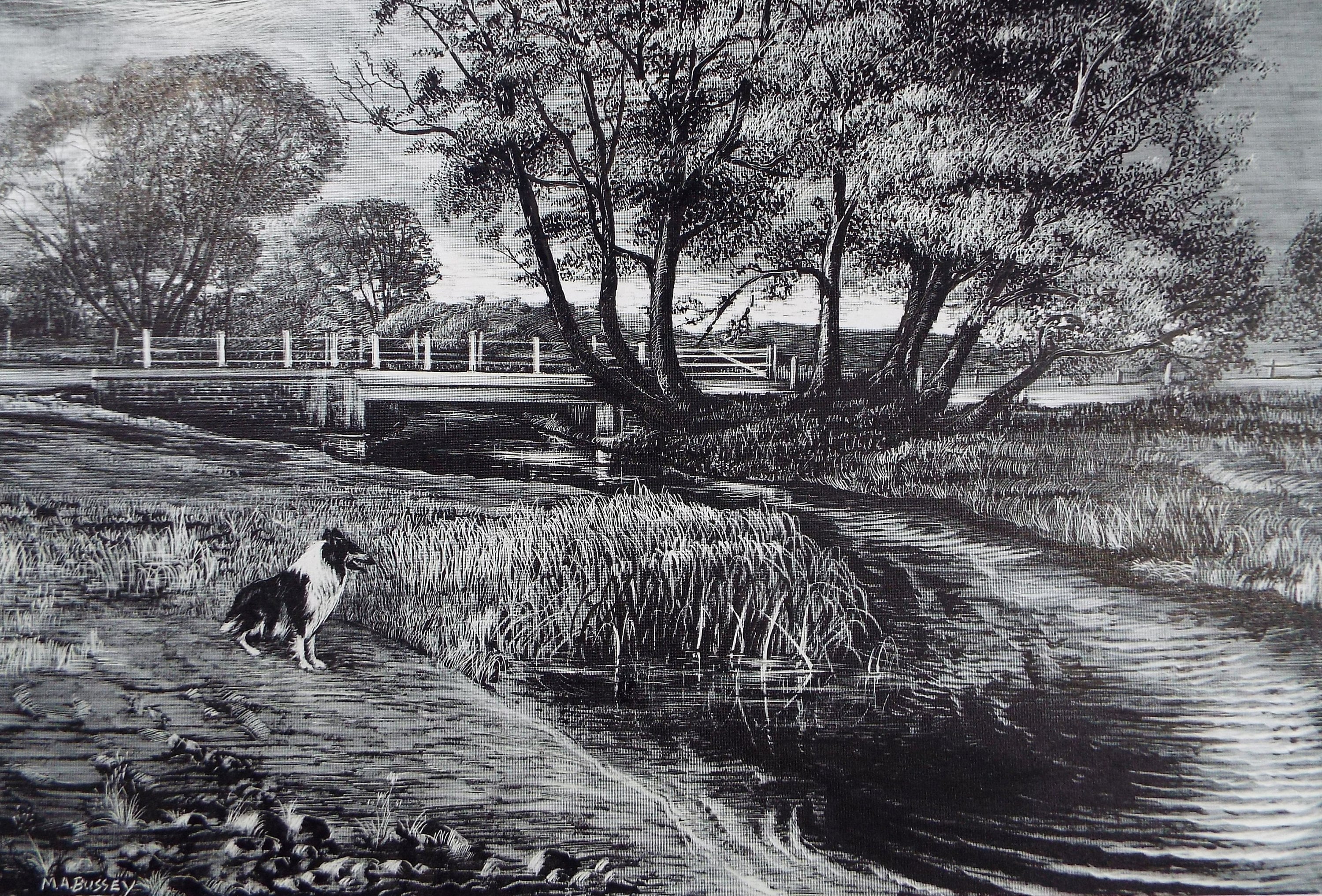 Original Etching on Scraperboard 'River Landscape with Border Collie', Michael A. Bussey, circa 1960's