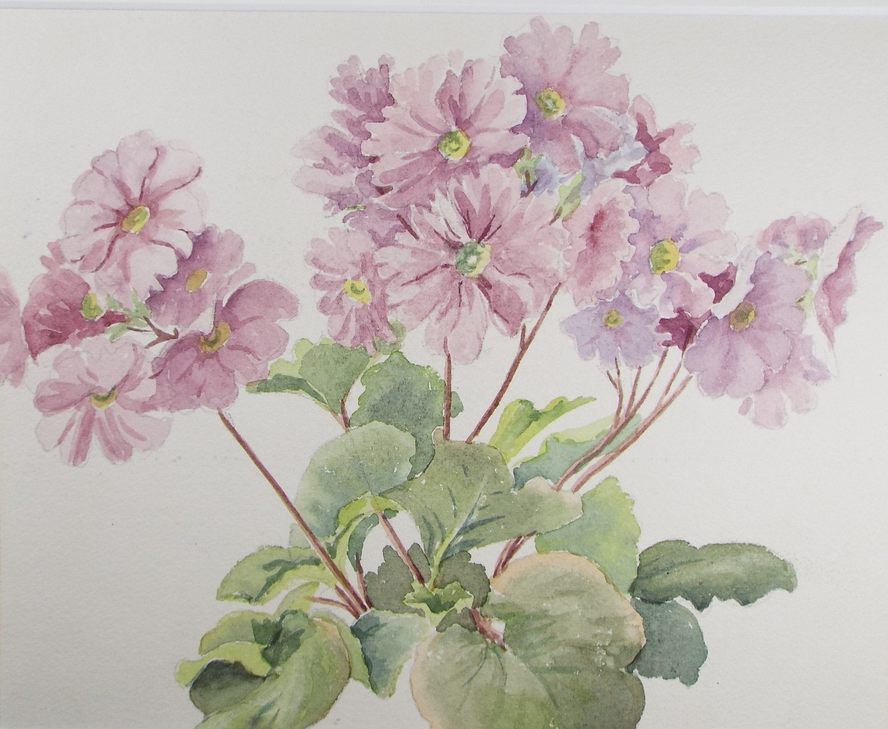 Original Watercolour, 'House Plant Study', George Godfrey, circa 1970's