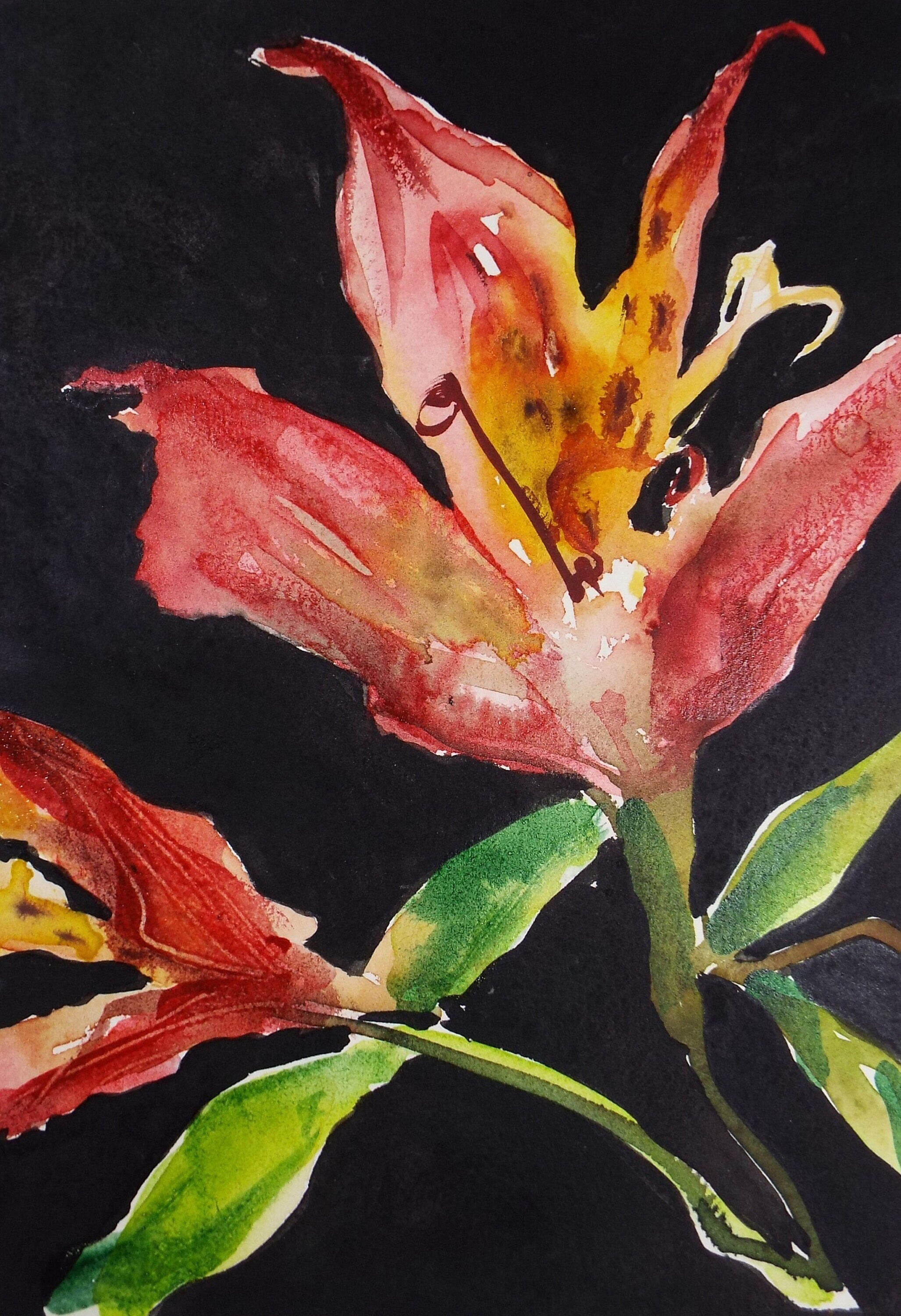 Original Watercolour, 'A Study of Lilies', Unknown Artist, circa 1980's