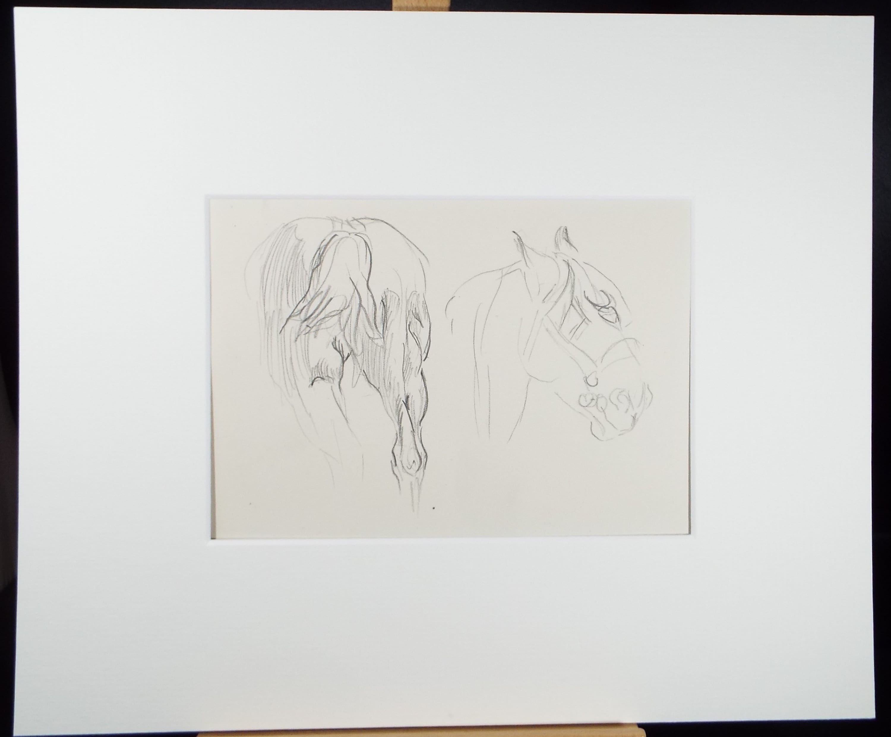 Original Pencil Sketch,'Study of a Heavy Horse', Helen Collins (1921-1990), circa 1938/9