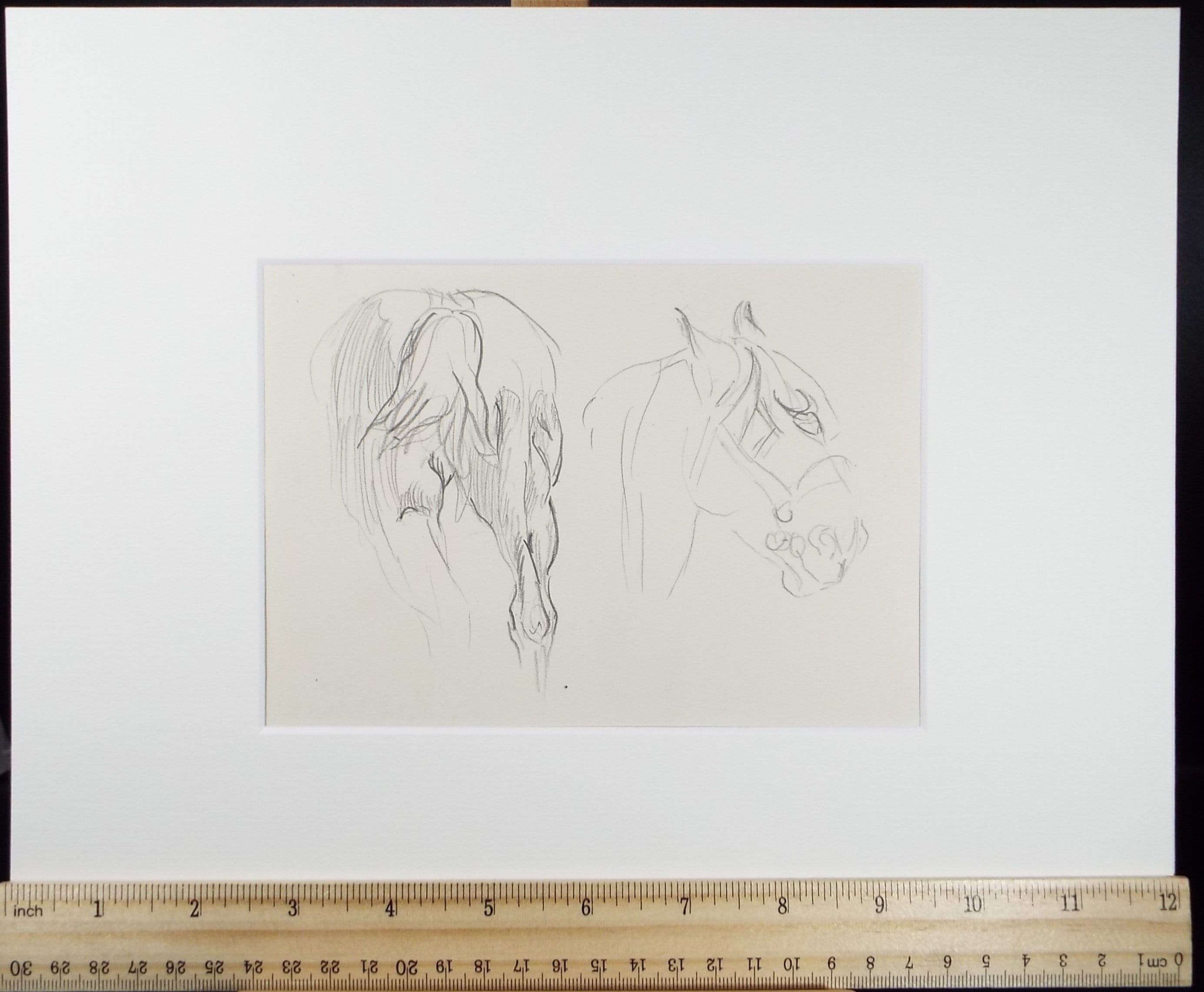 Original Pencil Sketch,'Study of a Heavy Horse', Helen Collins (1921-1990), circa 1938/9