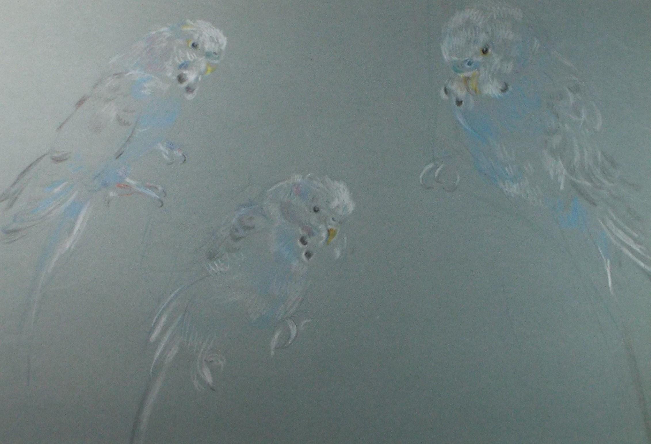 Original Pastel Drawing, 'Blue Budgerigars', c1950s, Athene Andrade (1908-1973)