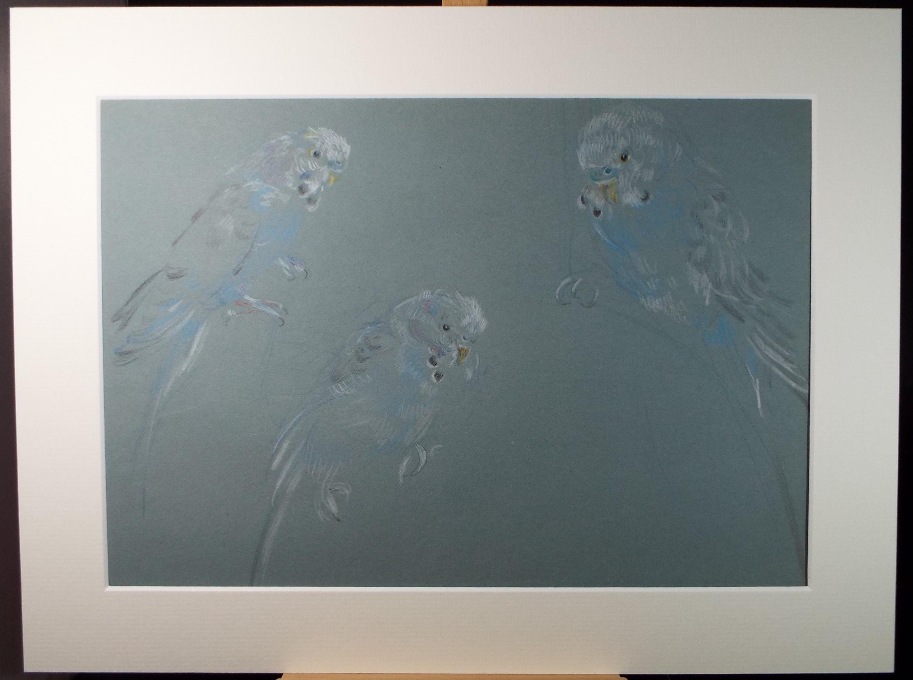 Original Pastel Drawing, 'Blue Budgerigars', c1950s, Athene Andrade (1908-1973)