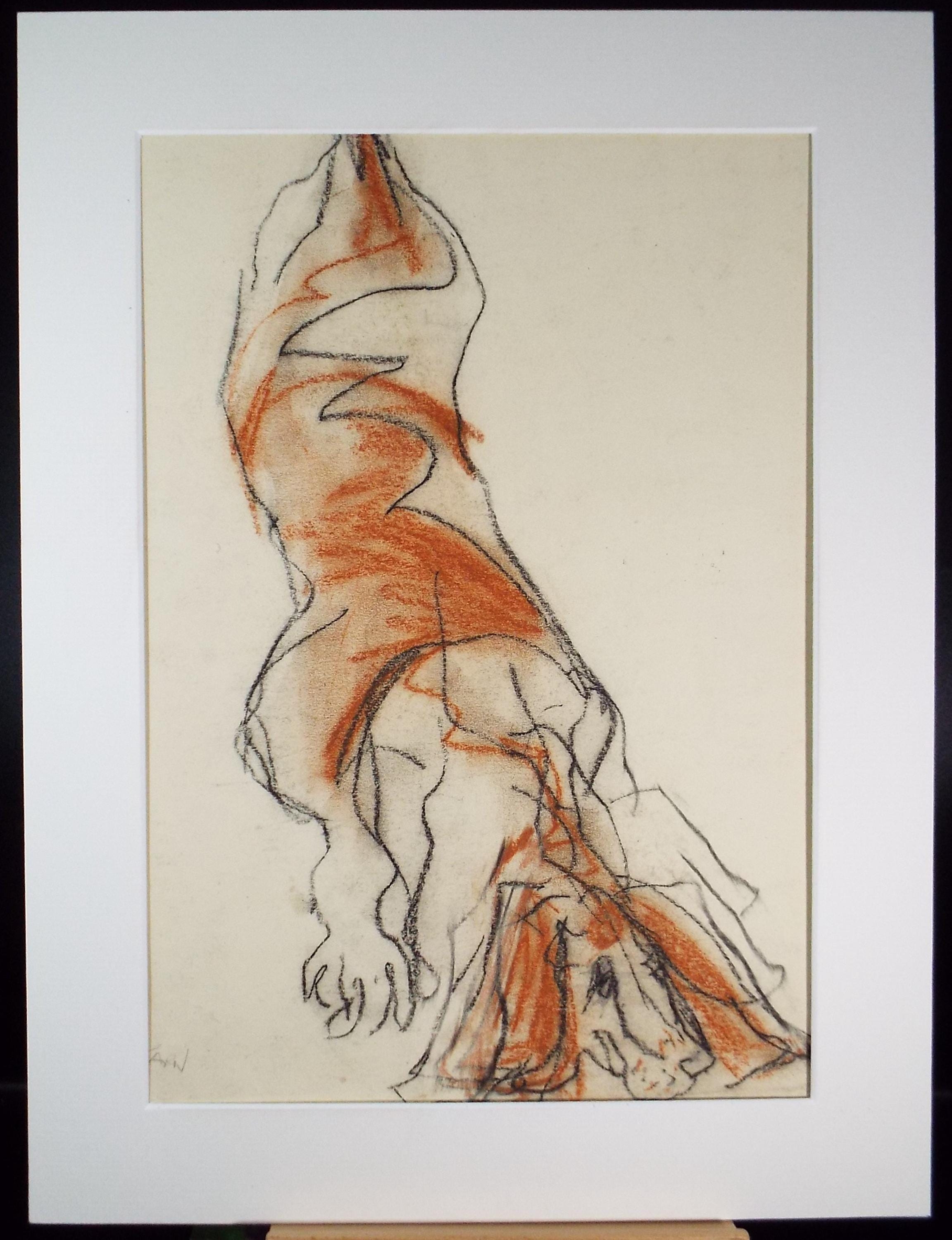 Barbara Karn (b1949) Original Charcoal/Conte Drawing ,'Basset Hound', Circa 2000