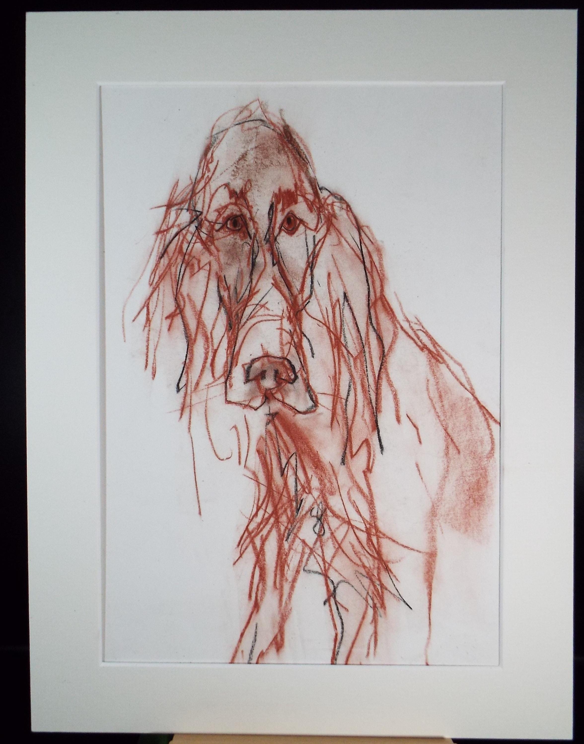 Barbara Karn (b1949) Original Charcoal/Conte Drawing ,'Red Setter', Circa 2000