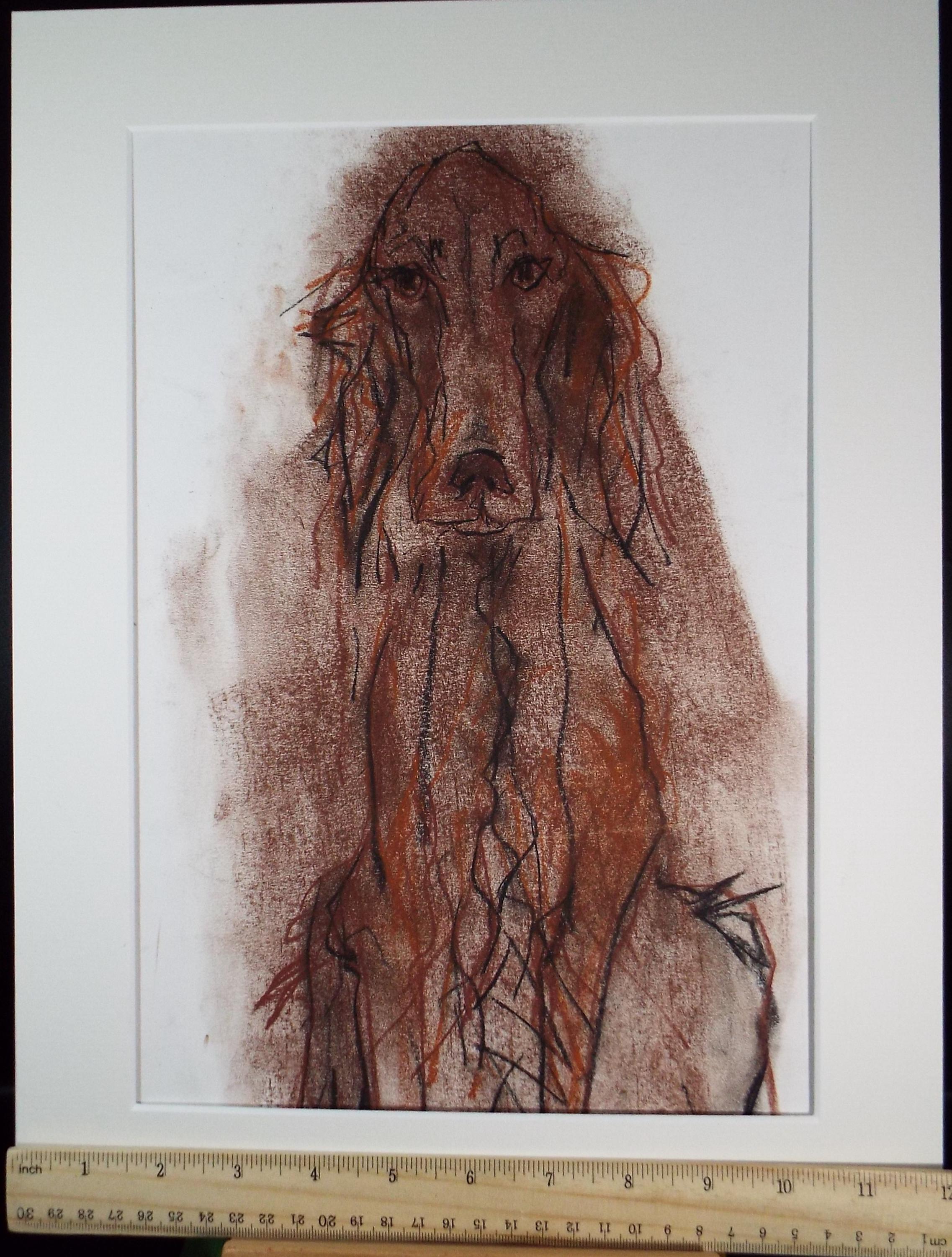 Barbara Karn (b1949) Original Charcoal/Conte Drawing ,'Red Setter', Circa 2000