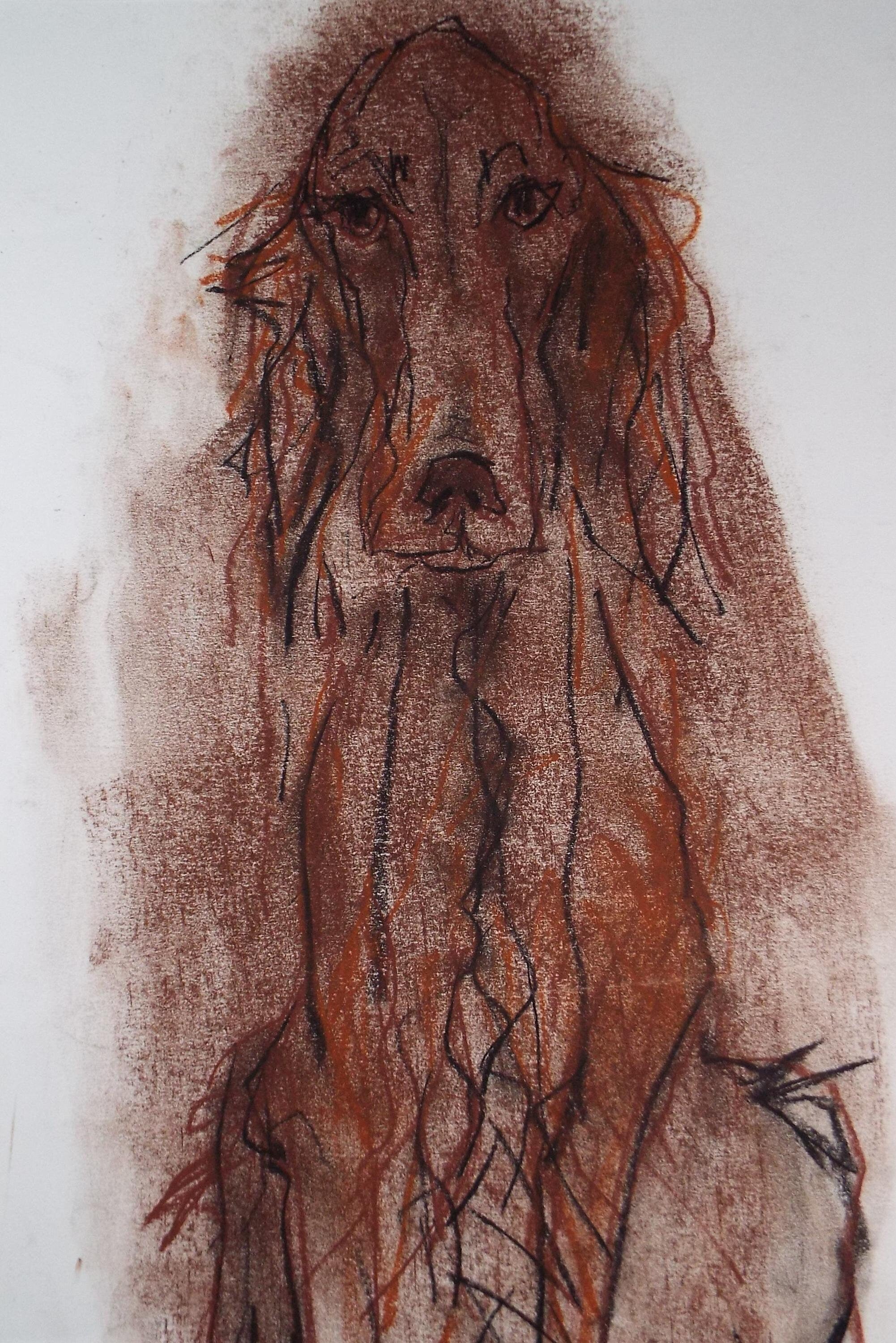 Barbara Karn (b1949) Original Charcoal/Conte Drawing ,'Red Setter', Circa 2000