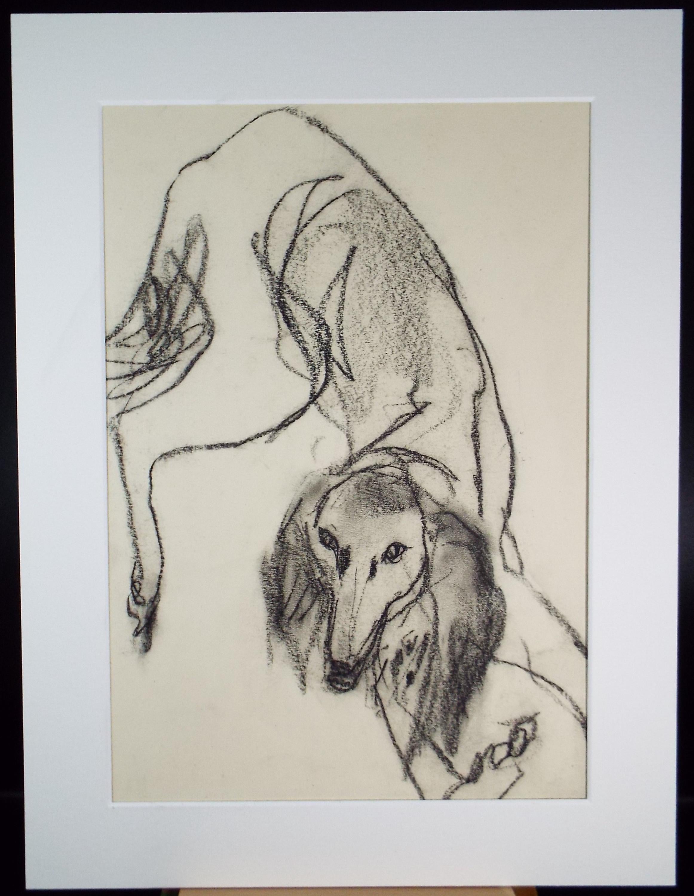 Barbara Karn (b1949) Original Charcoal/Conte Drawing ,'Mutt', Circa 2000