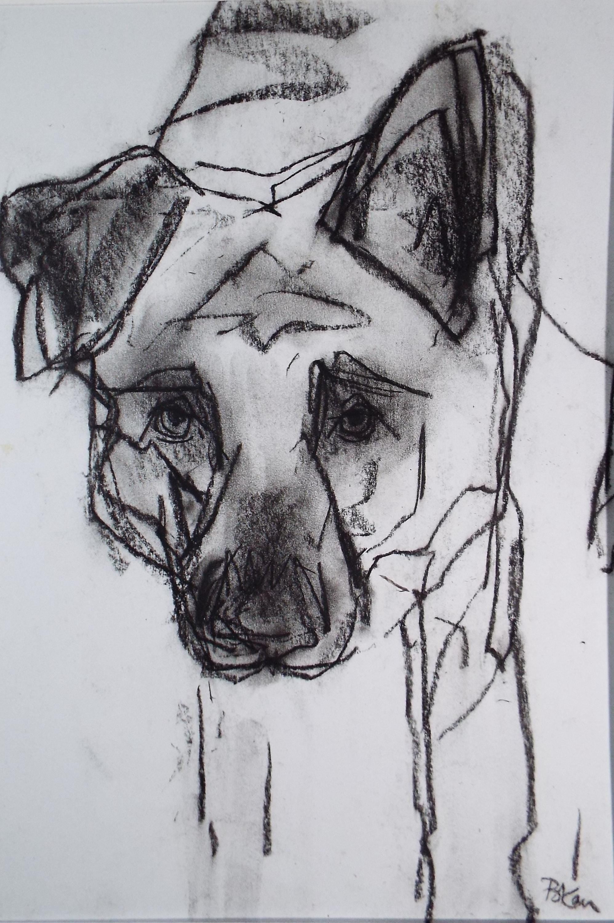 Barbara Karn (b1949) Original Charcoal/Conte Drawing ,'Mutt', Circa 2000