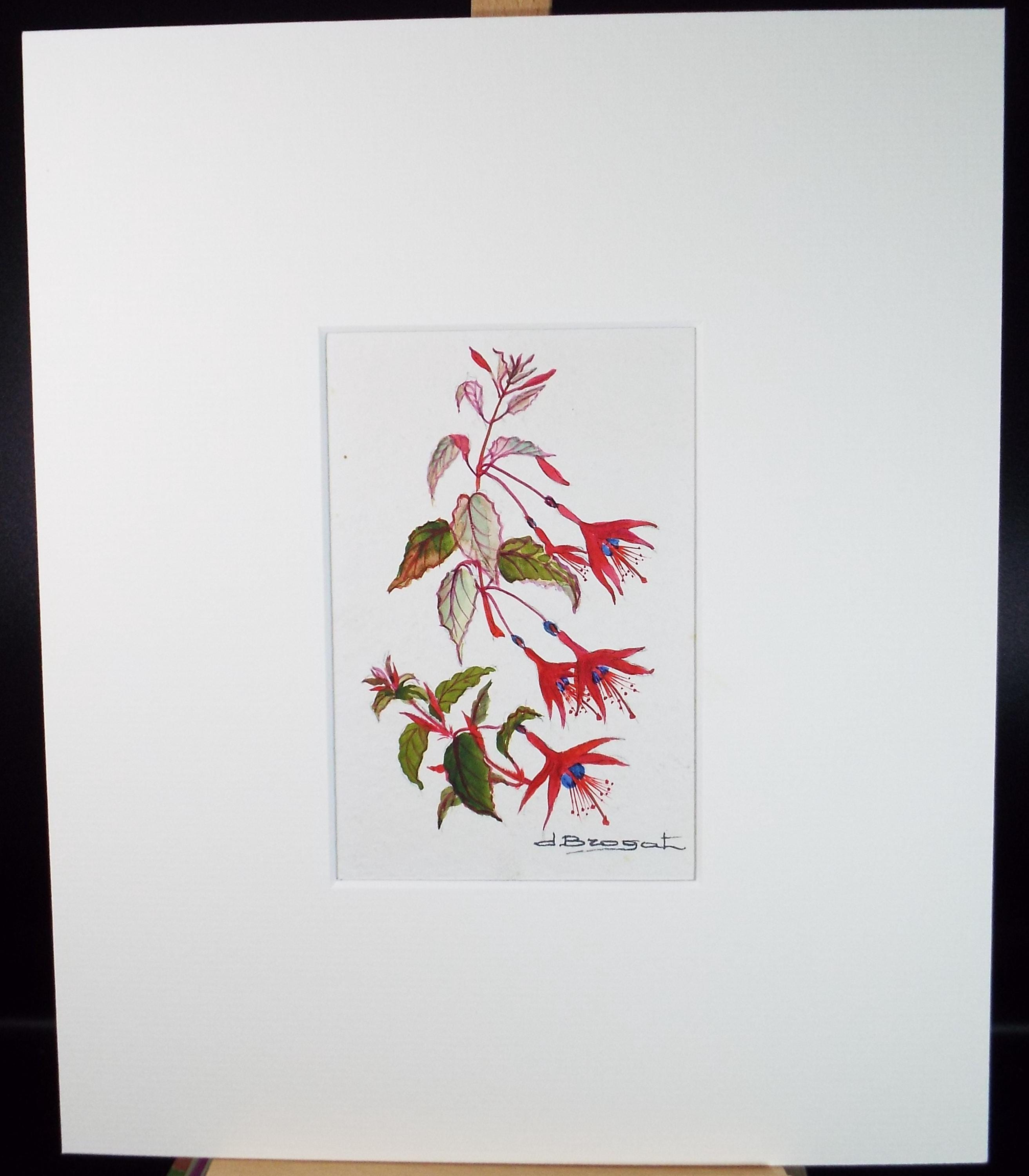 Original Watercolour, 'Fuchsia Study', circa 1960's, artist Unknown