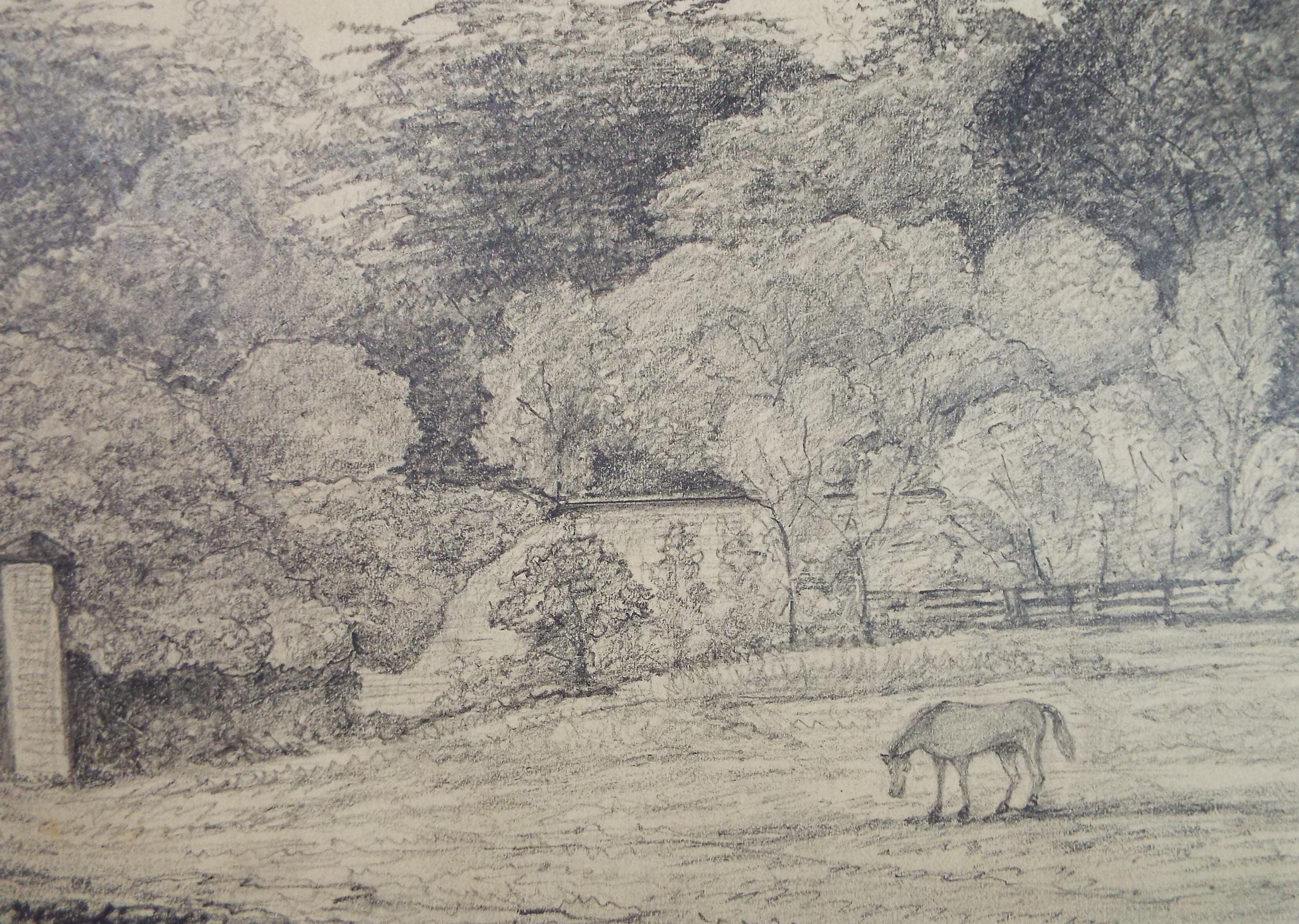 Original Pencil drawing, 'Horse in a Field', Dated 1874, artist unknown