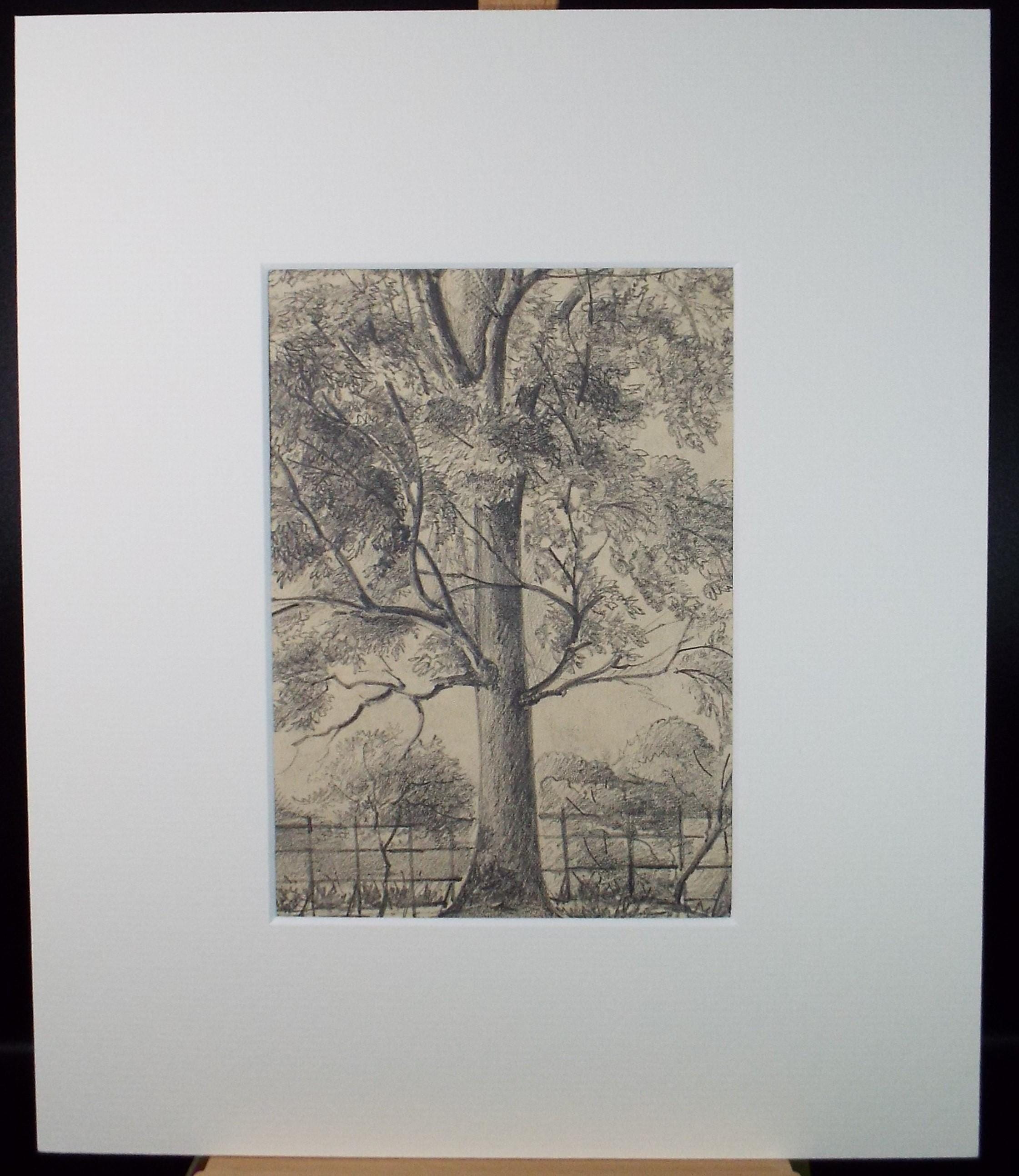 Original Pencil drawing, 'Beeston Park', Dated 1874', artist unknown