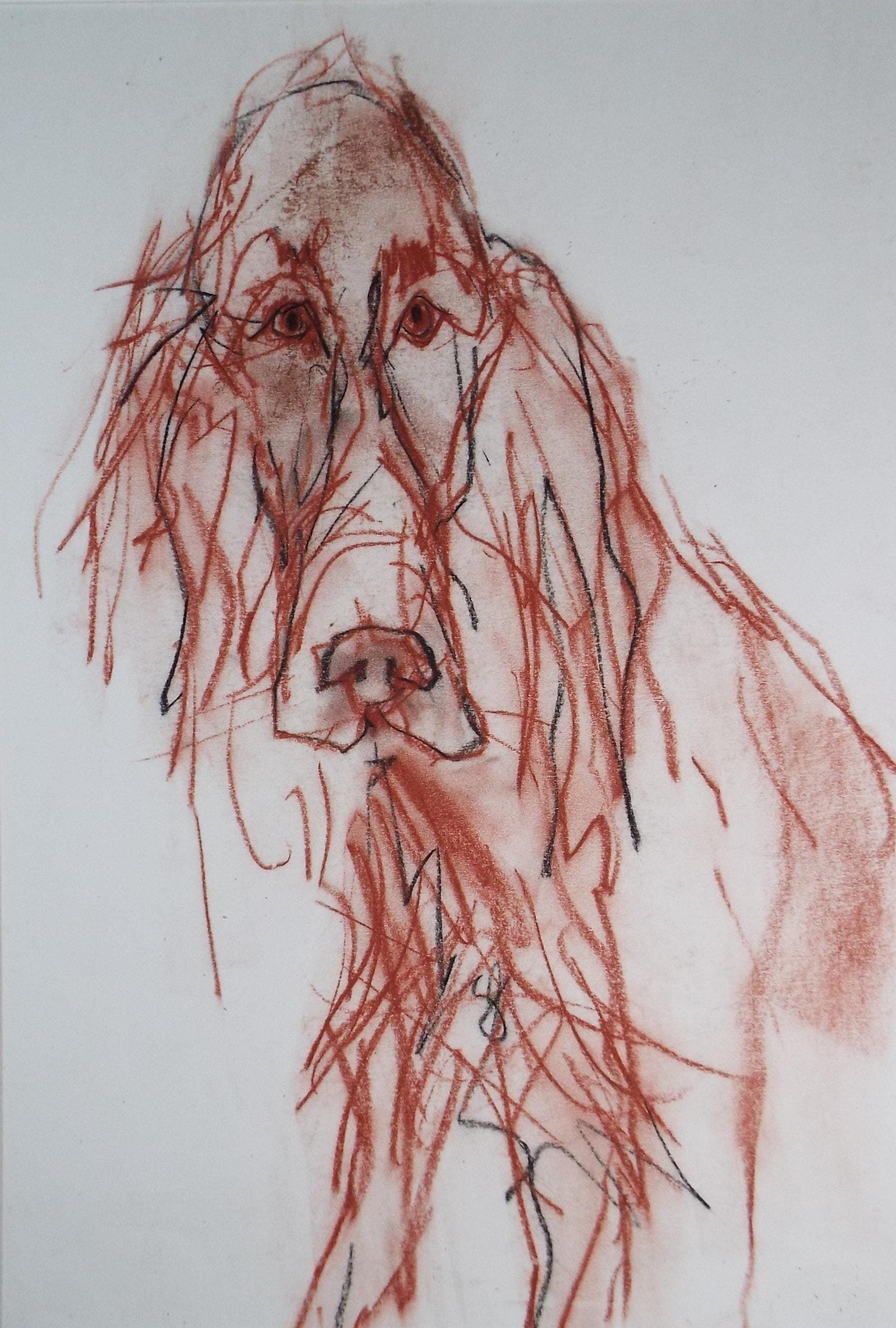 Barbara Karn (b1949) Original Charcoal/Conte Drawing ,'Red Setter', Circa 2000