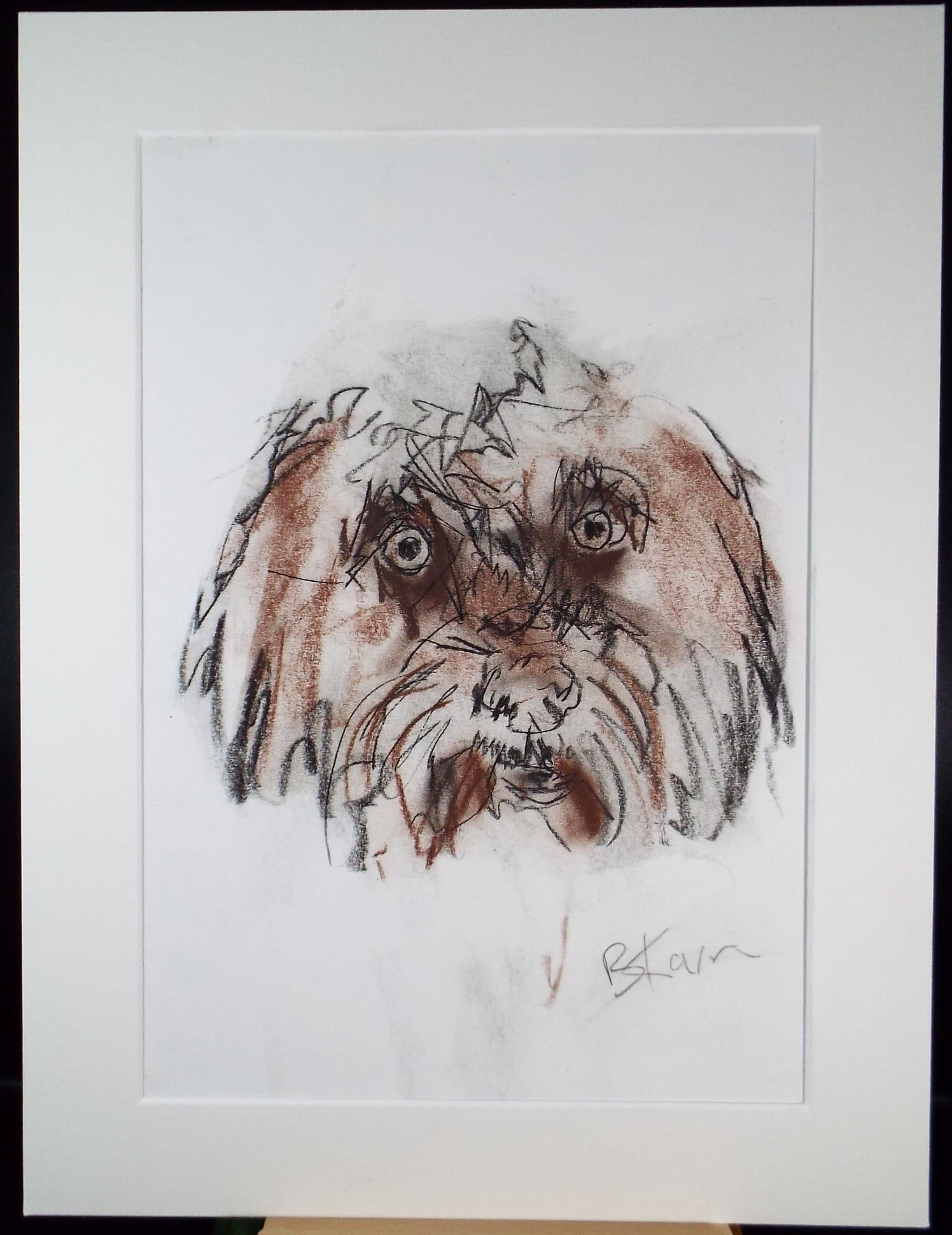 Barbara Karn (b1949) Original Charcoal/Conte Drawing ,'Terrier', Circa 2000