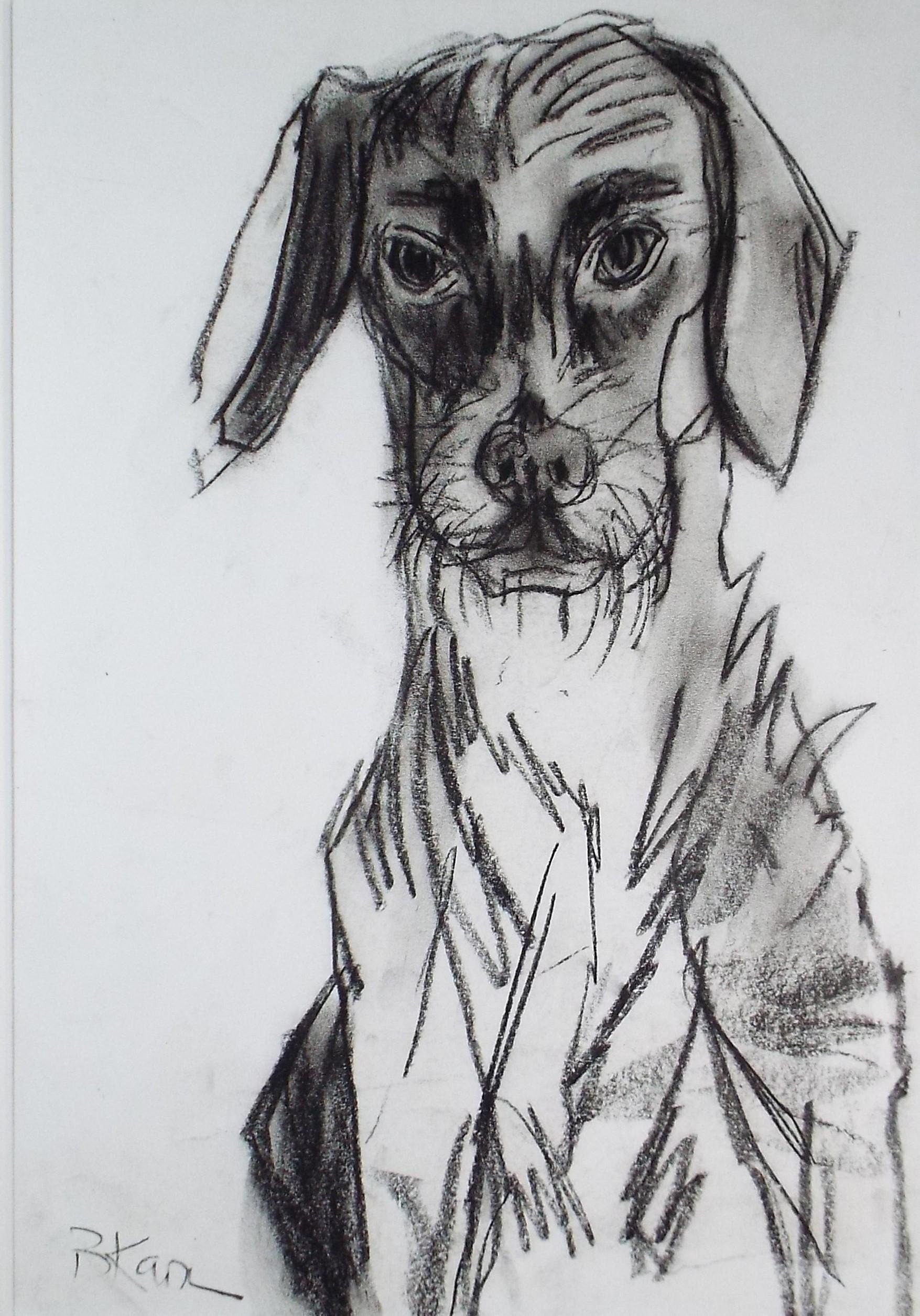 Barbara Karn (b1949) Original Charcoal/Conte Drawing ,'Mutt', Circa 2000