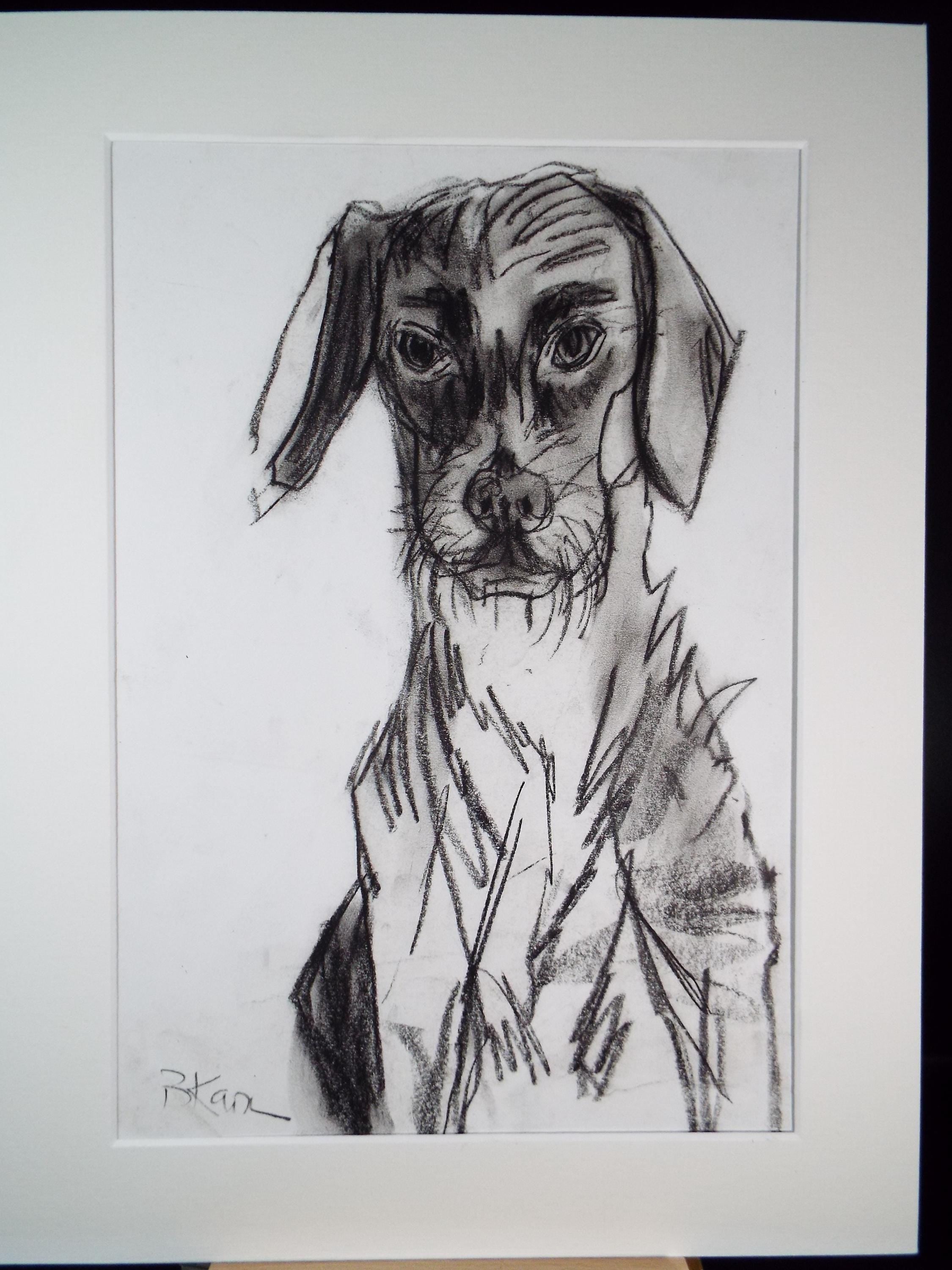 Barbara Karn (b1949) Original Charcoal/Conte Drawing ,'Mutt', Circa 2000