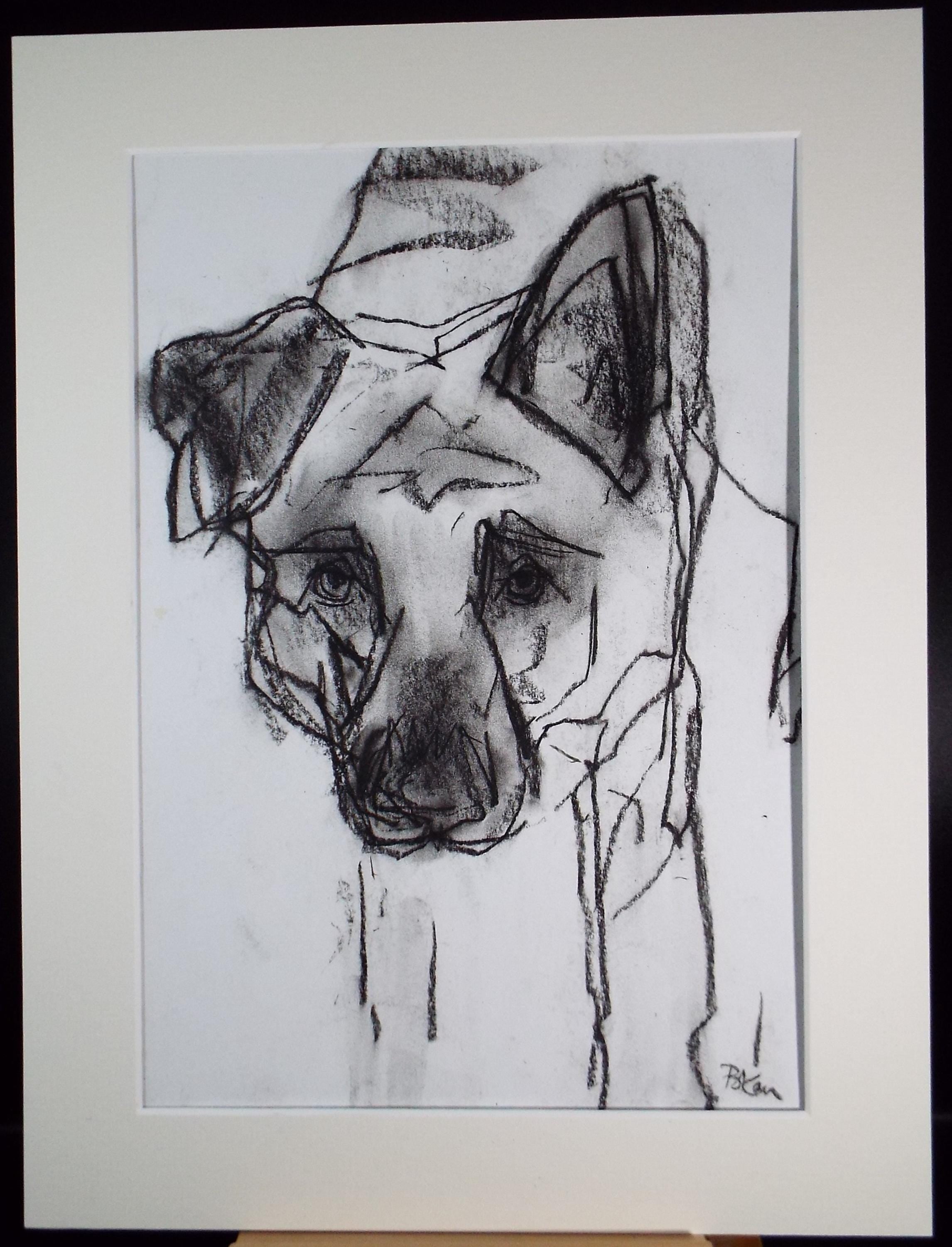 Barbara Karn (b1949) Original Charcoal/Conte Drawing ,'Mutt', Circa 2000