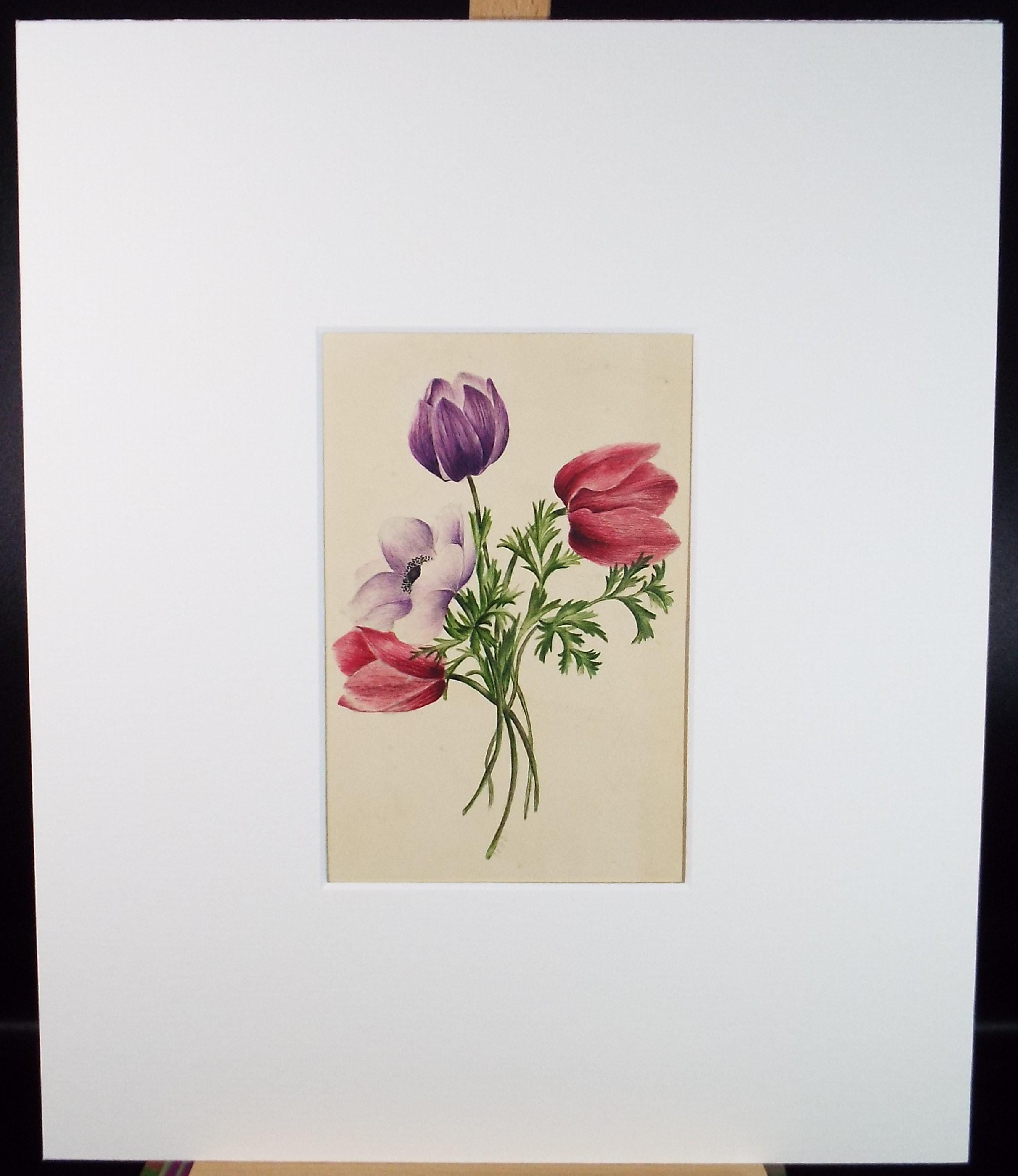 Original Watercolour, 'Poppies and Tulips', dated 1845, artist Unknown