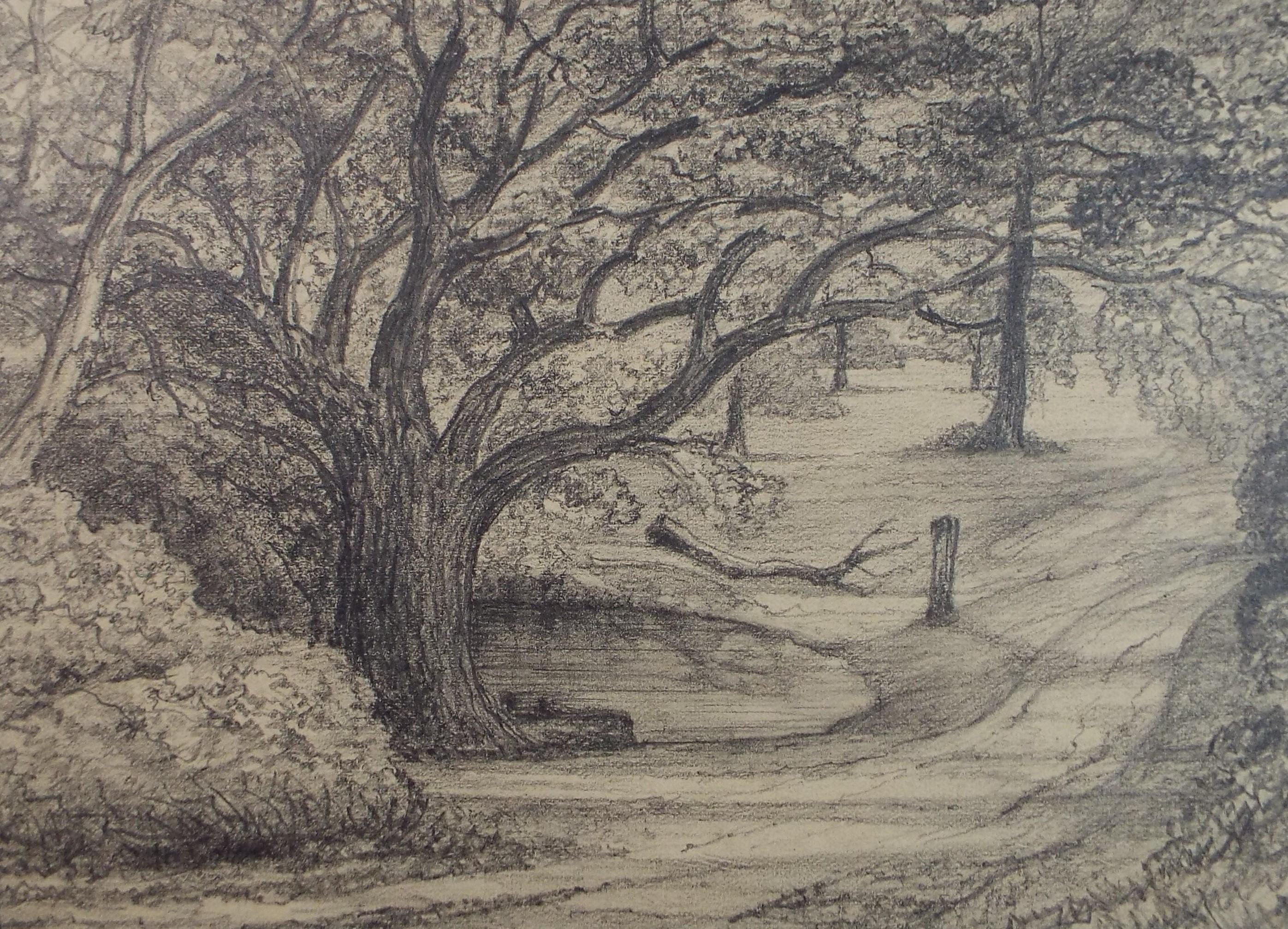 Original Pencil drawing, 'Road to Beeston Park', Dated 1875', artist unknown