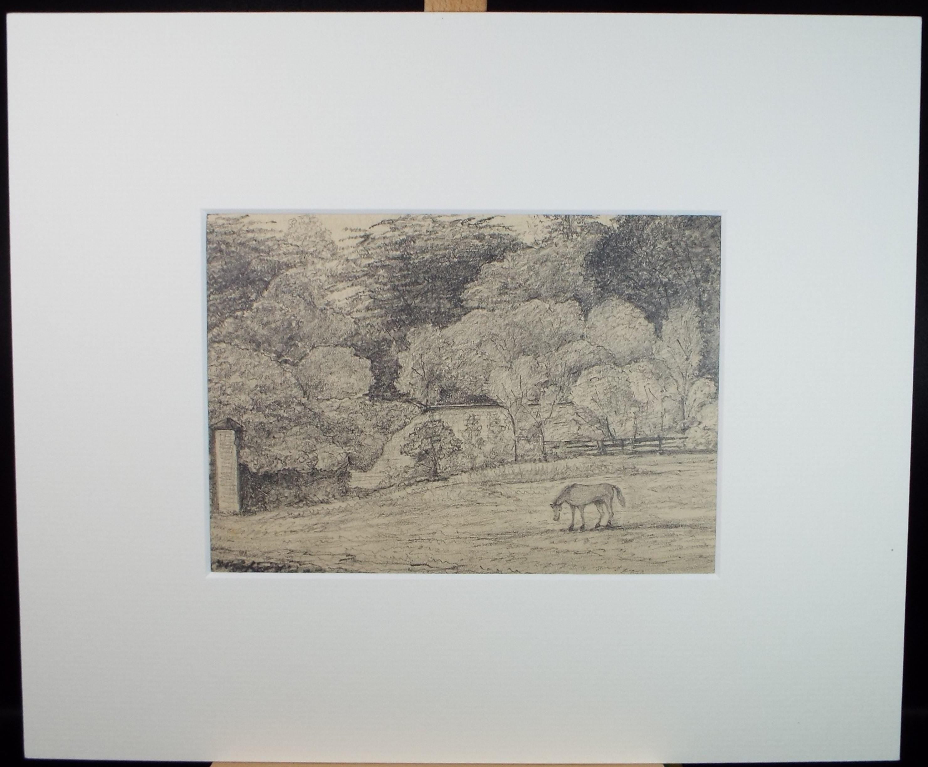 Original Pencil drawing, 'Horse in a Field', Dated 1874, artist unknown