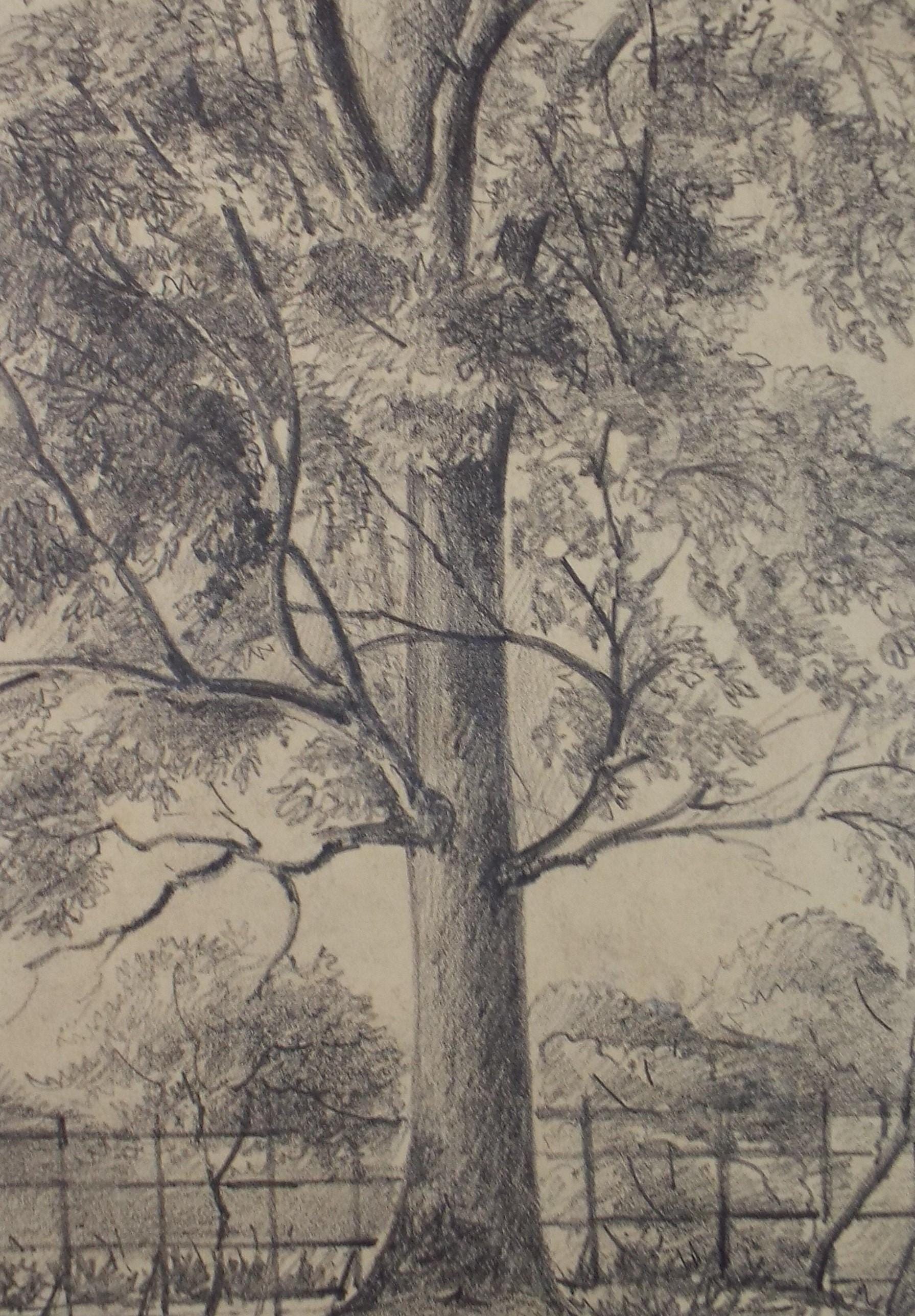 Original Pencil drawing, 'Beeston Park', Dated 1874', artist unknown