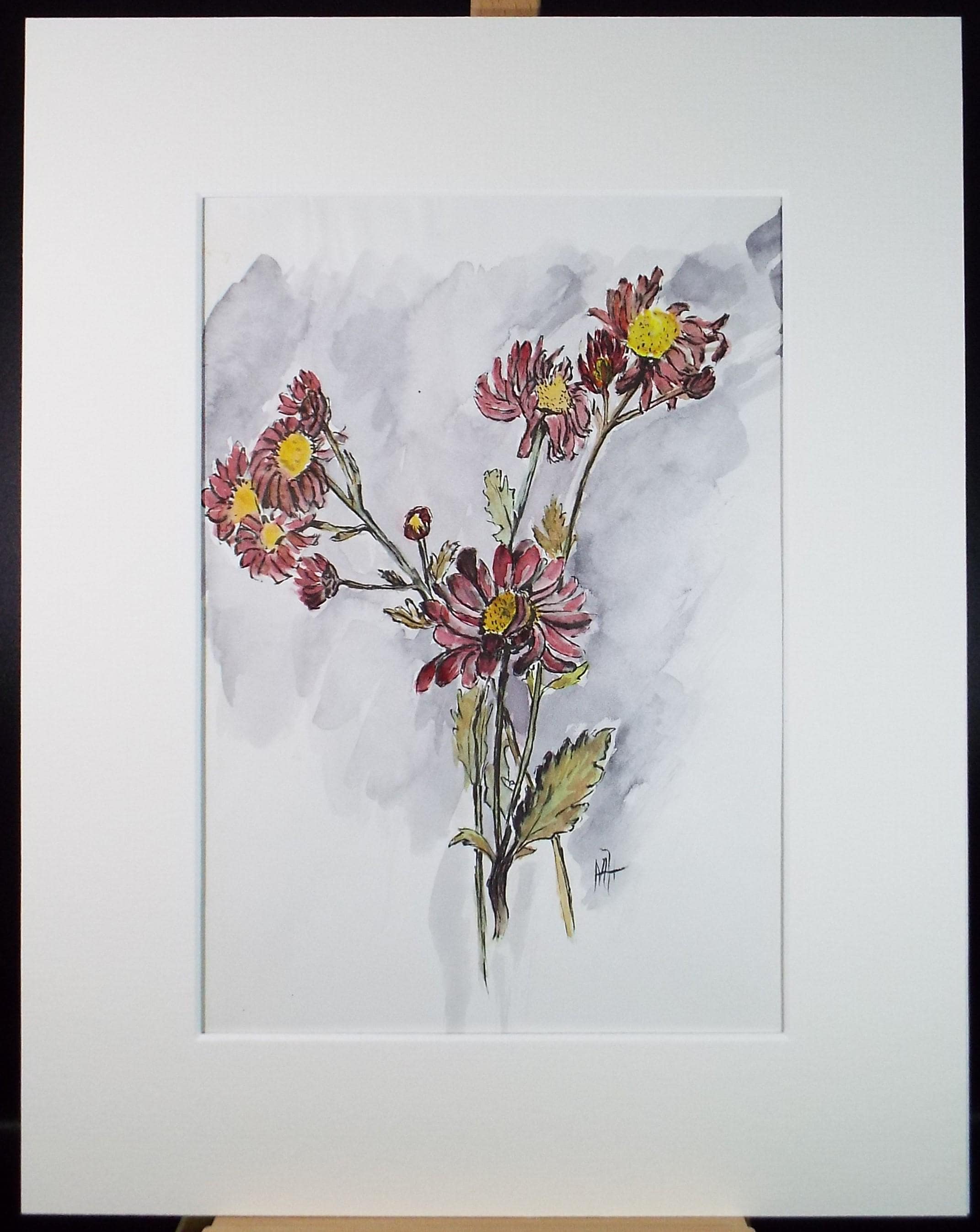 Original Watercolour, 'Echinacea Study', Marie W. Hiorns, circa 1980's