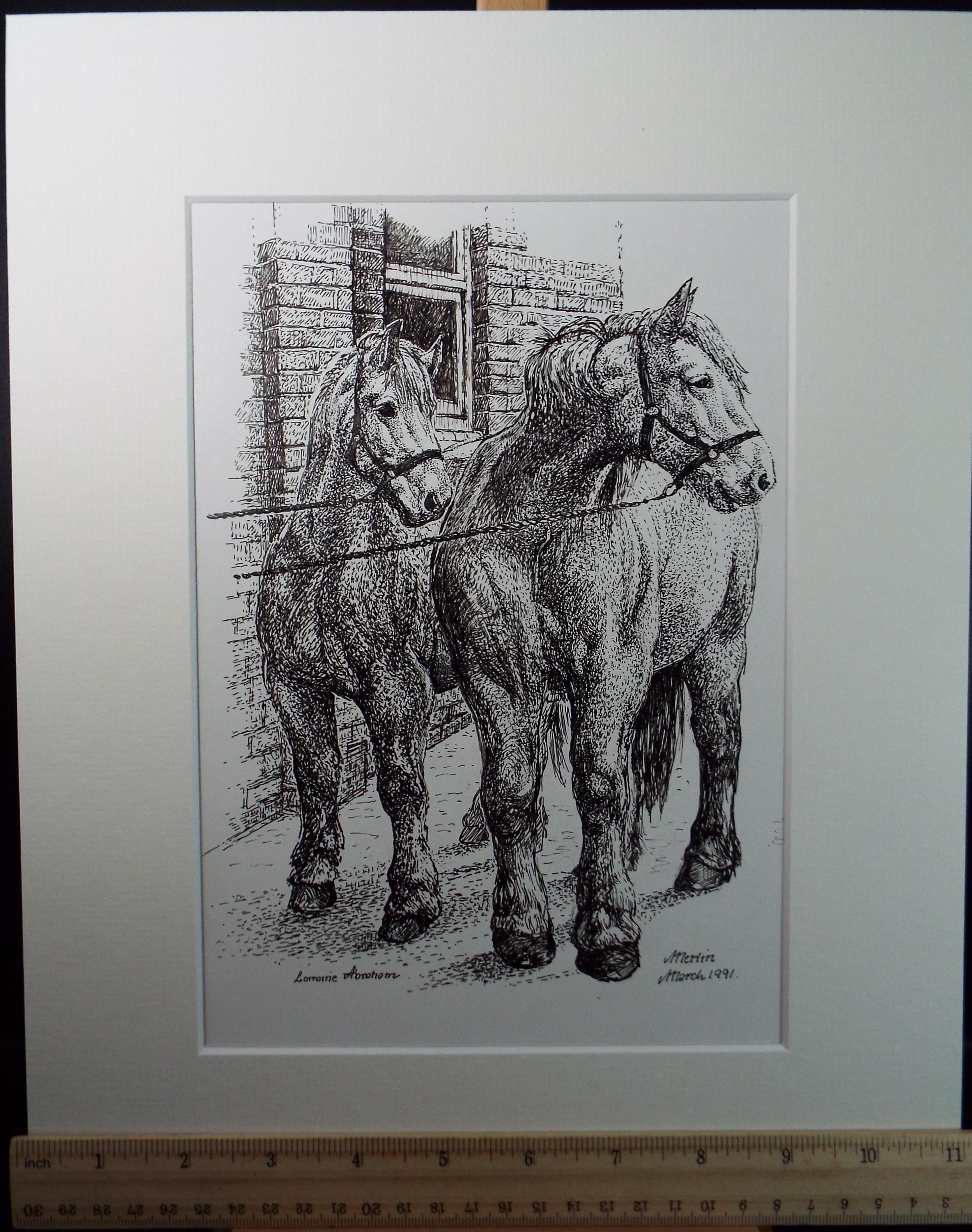 Original ink drawing, 'Merlin', Lorraine Abraham RSMA (1941-2023), Circa 1990's