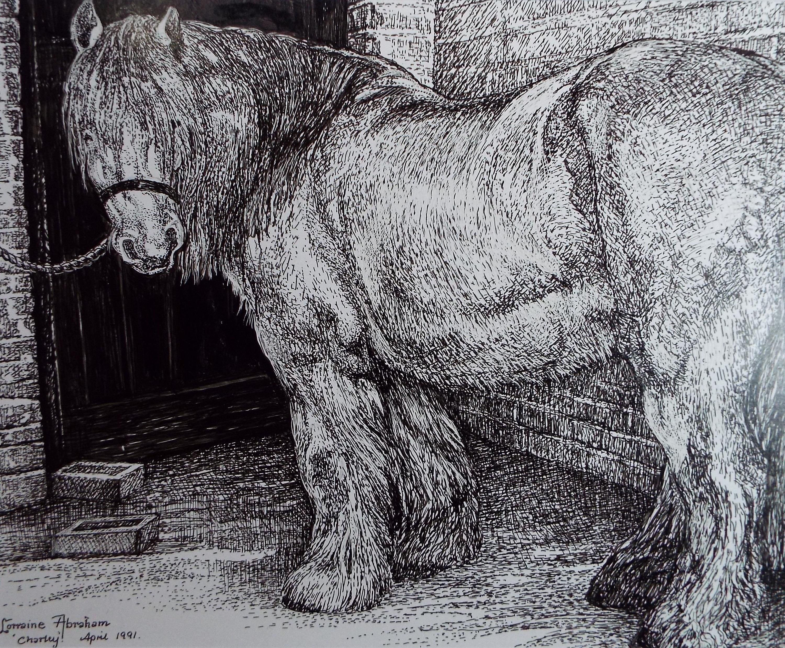 Original ink drawing, 'Charley', Lorraine Abraham RSMA (1941-2023), dated 1991