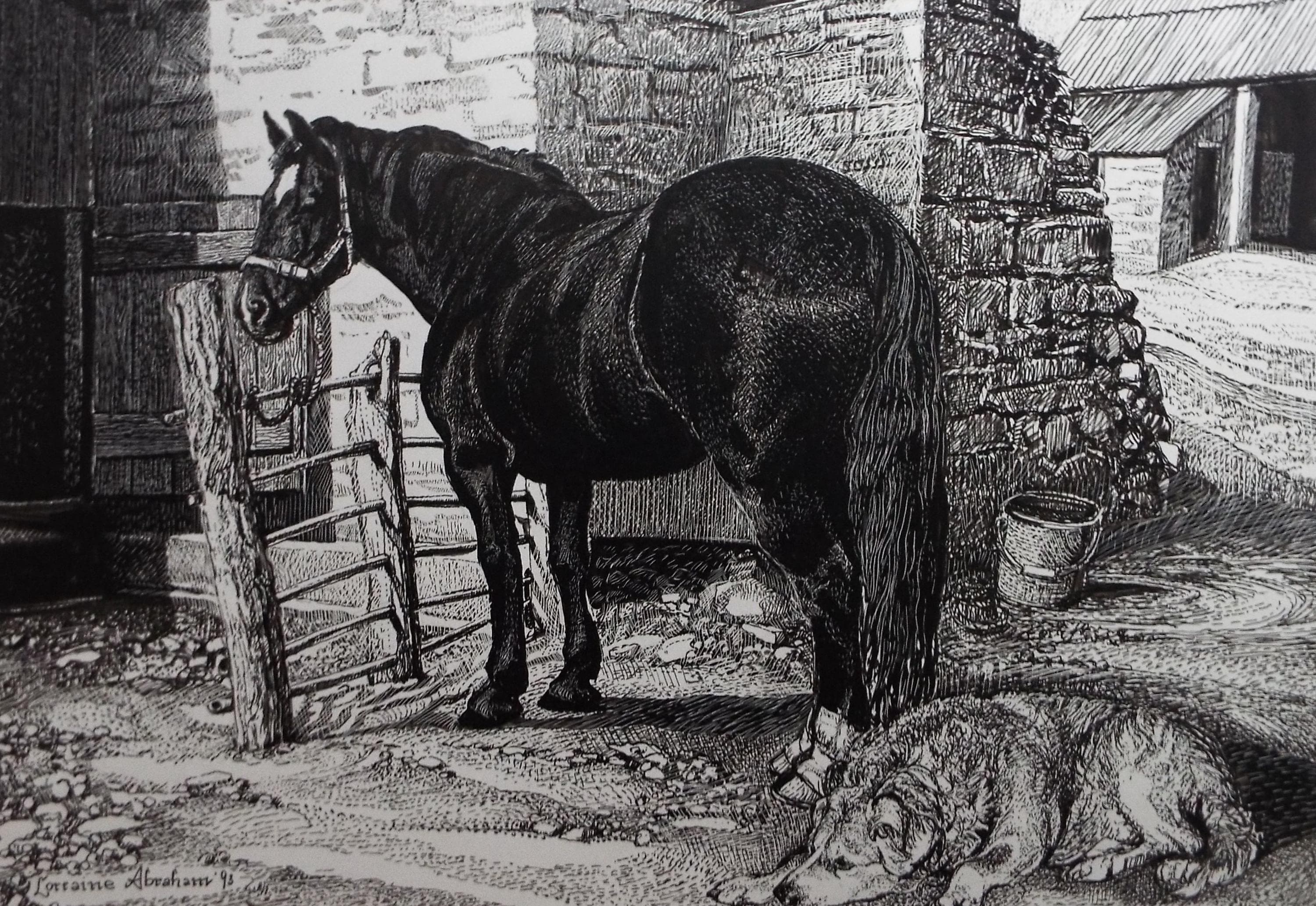 Original Scraperboard & ink drawing, 'Horse and Dog', Lorraine Abraham RSMA (1941-2023), Dated 1993