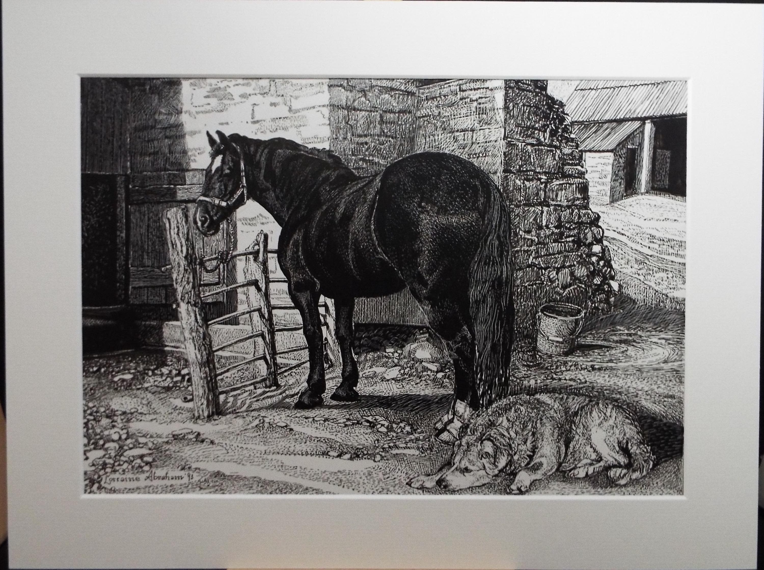 Original Scraperboard & ink drawing, 'Horse and Dog', Lorraine Abraham RSMA (1941-2023), Dated 1993