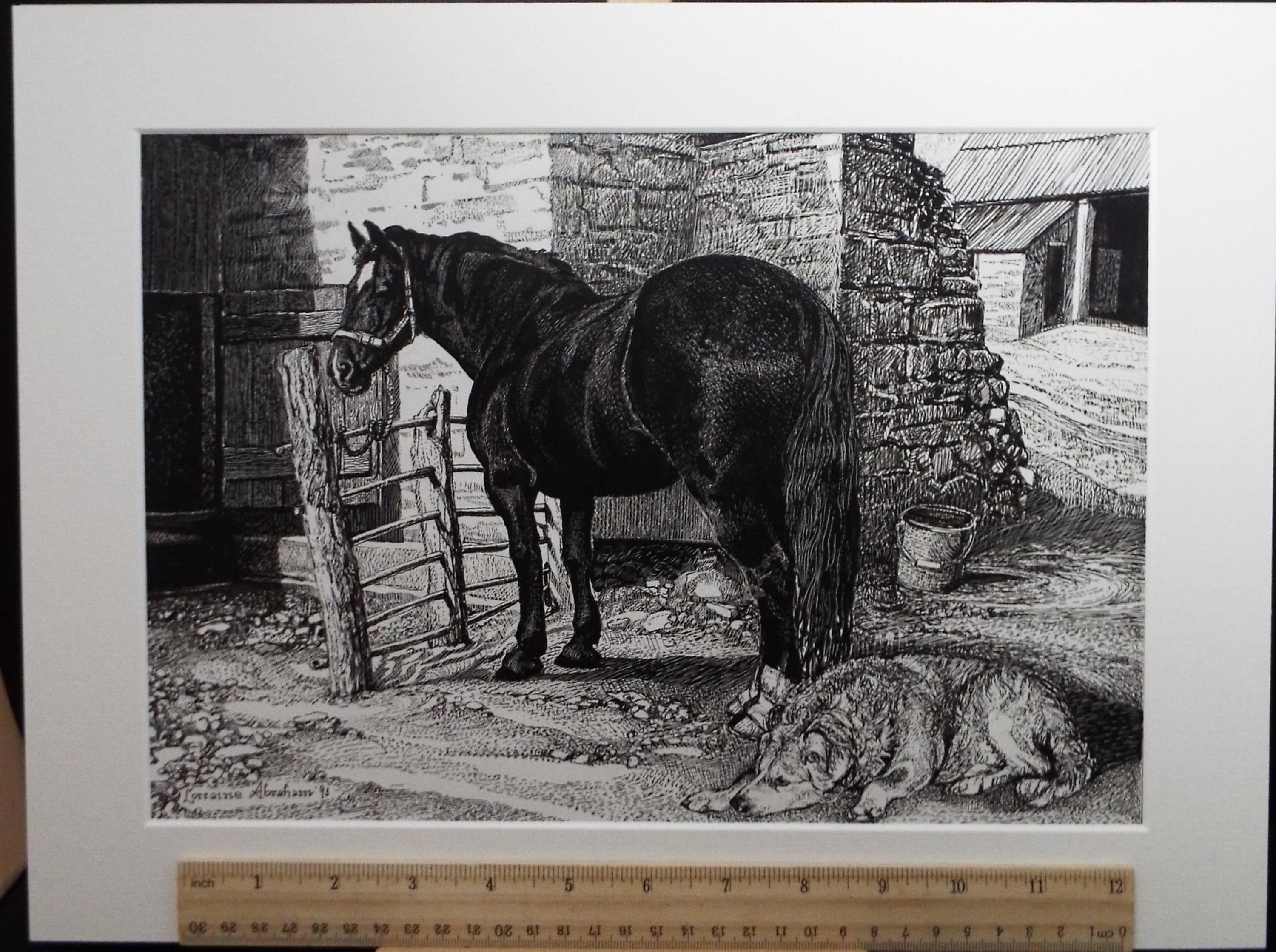 Original Scraperboard & ink drawing, 'Horse and Dog', Lorraine Abraham RSMA (1941-2023), Dated 1993