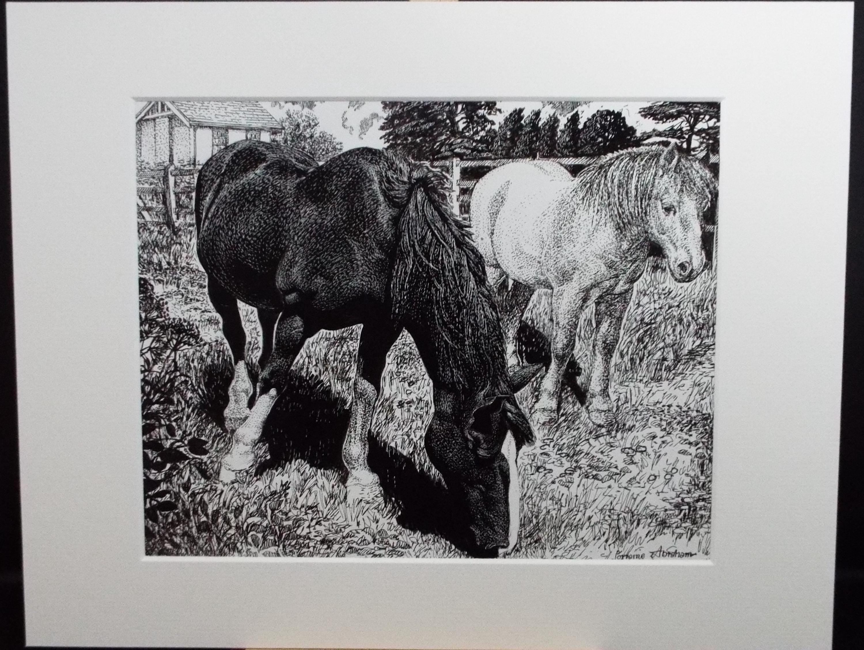 Original Scraperboard & ink drawing, 'Two Ponies', Lorraine Abraham RSMA (1941-2023), Circa 1990's