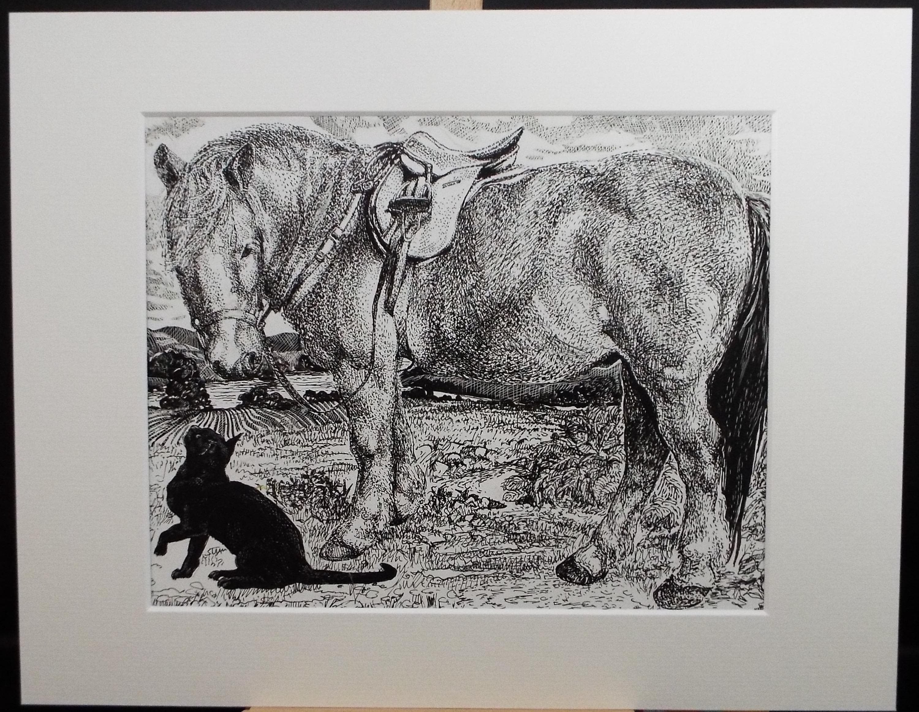 Original Scraperboard & ink drawing, 'Pony and Black Cat', Lorraine Abraham RSMA (1941-2023), Circa 1990's