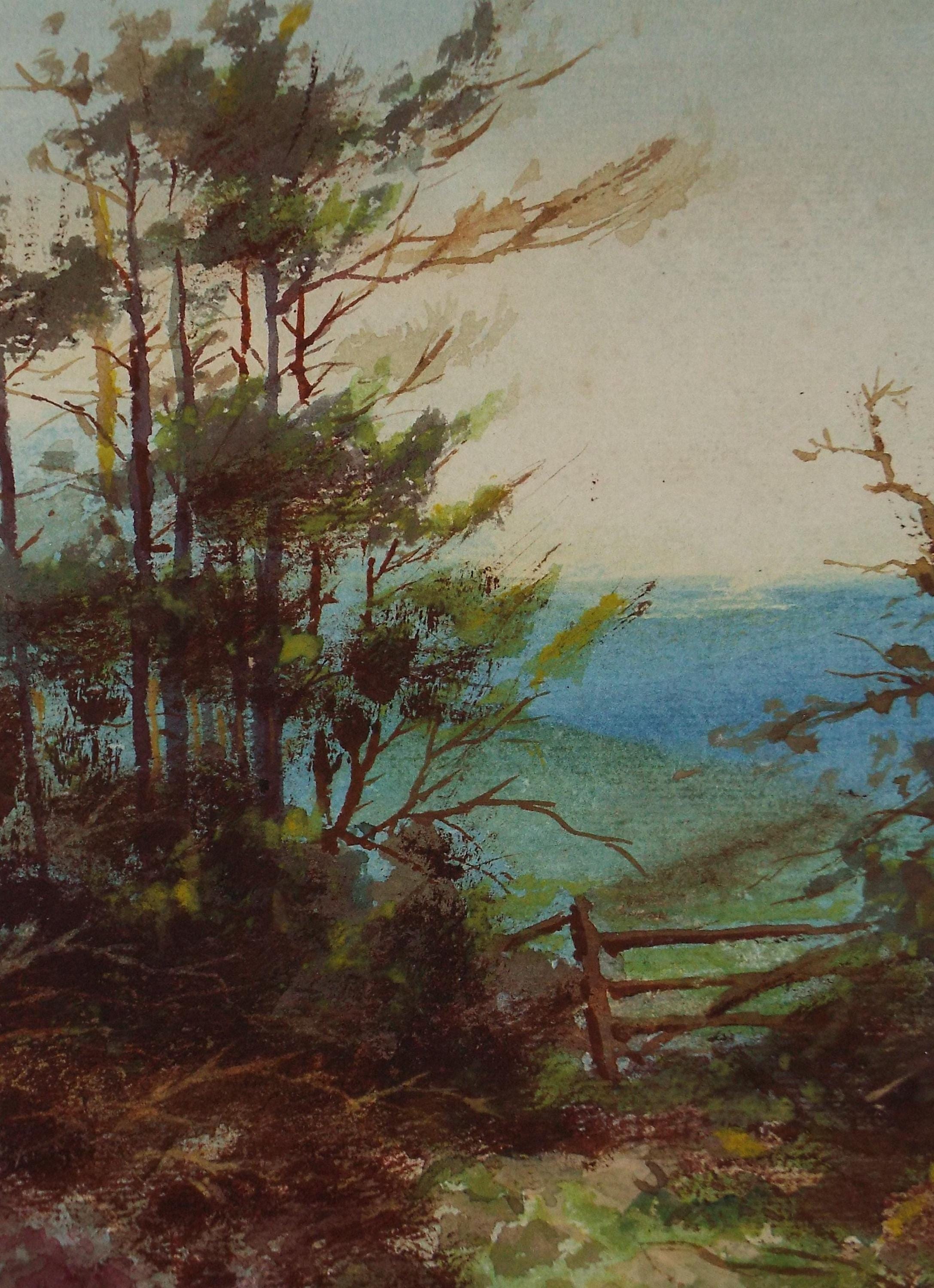 Original Watercolour, 'Woodland Edge', Circa 1920's, Artist Unknown.