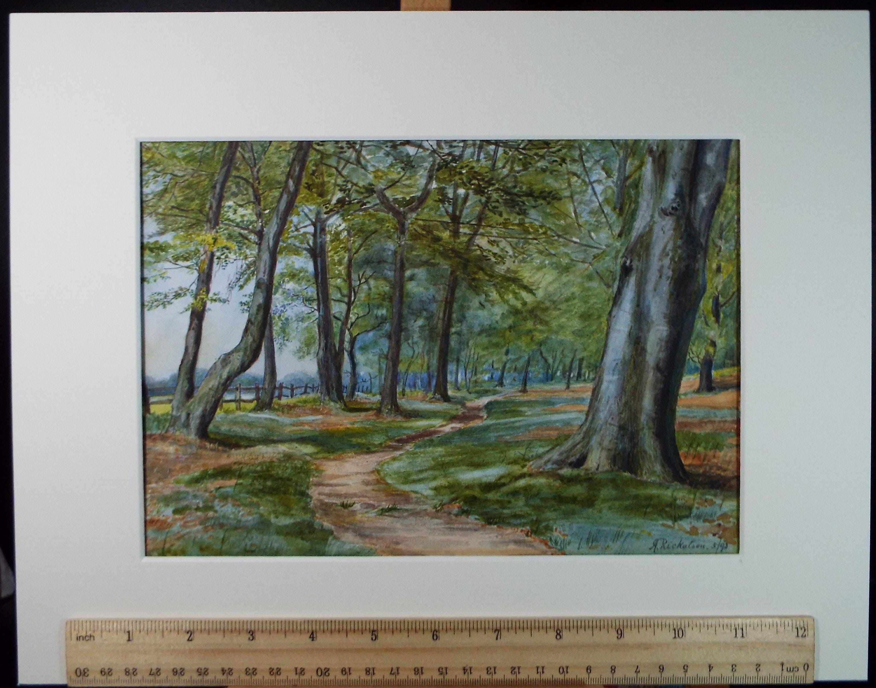 Original Watercolour, 'Track through Woodland', Dated 1893, A Rickatson