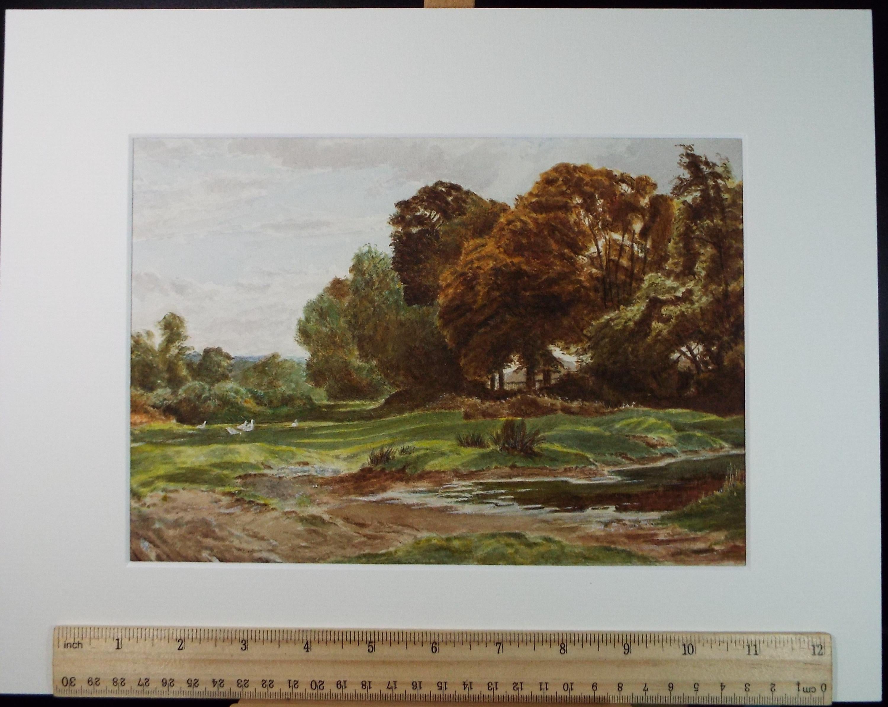 Original Watercolour, 'A Corner of Esher Common', Circa 1880, Artist Unknown