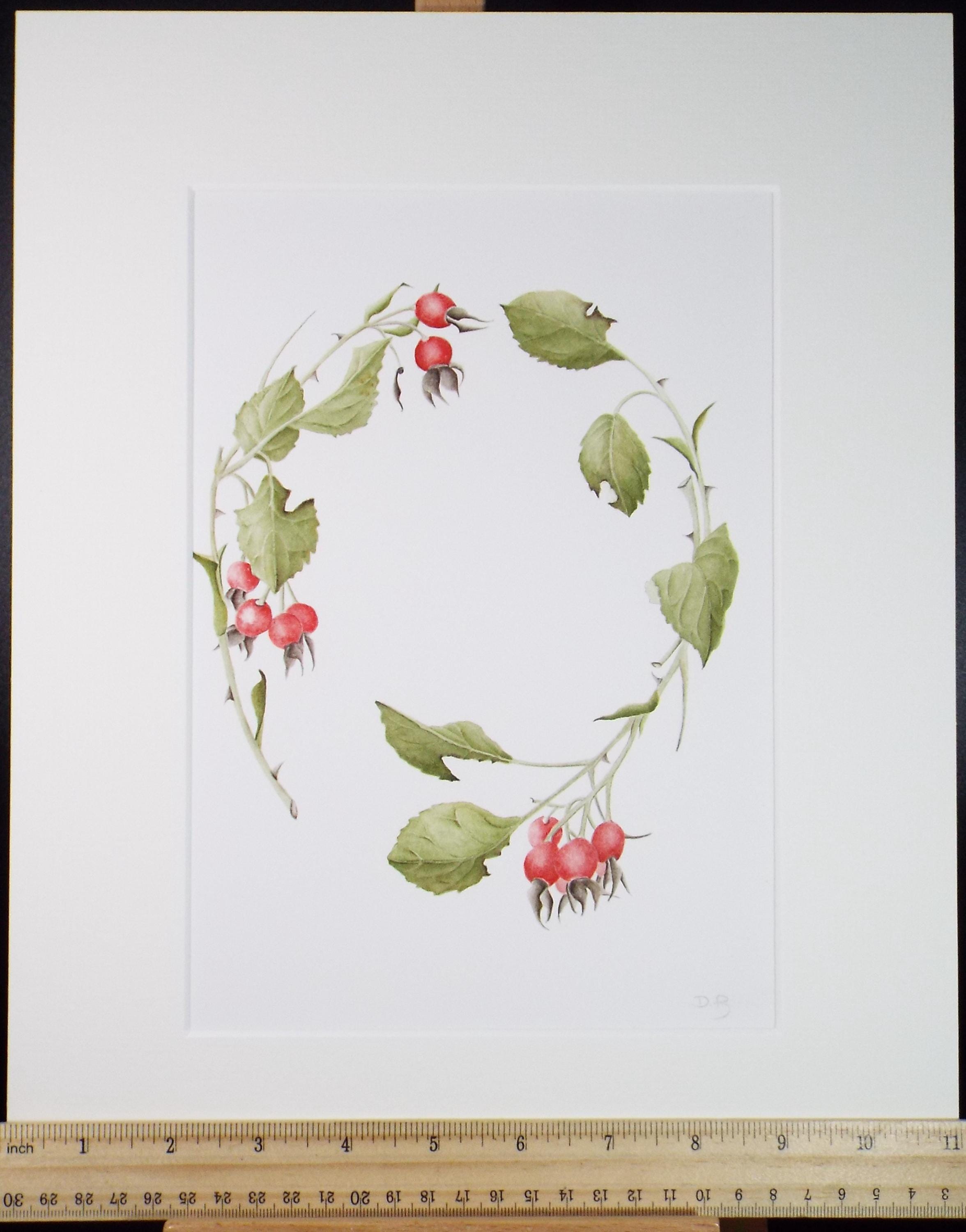 Original Watercolour, 'Rose Hips', Circa 1990's, Diane Bowley (20th Century, British)