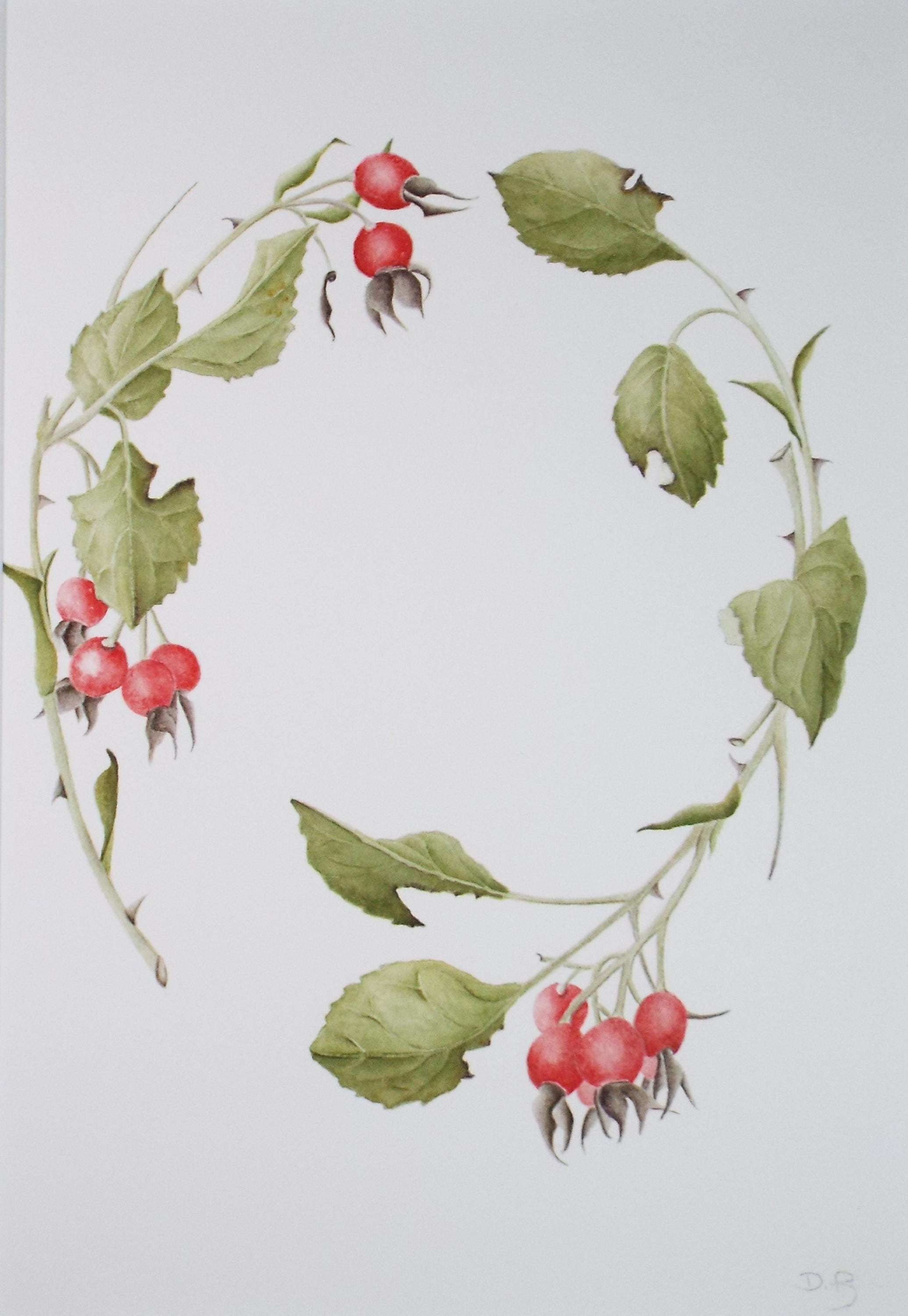 Original Watercolour, 'Rose Hips', Circa 1990's, Diane Bowley (20th Century, British)